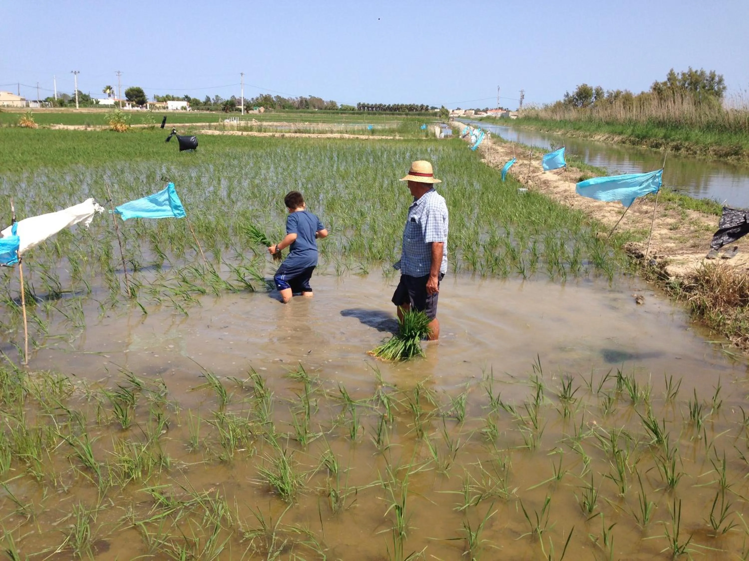 Day in Hotel Mediterrani Blau