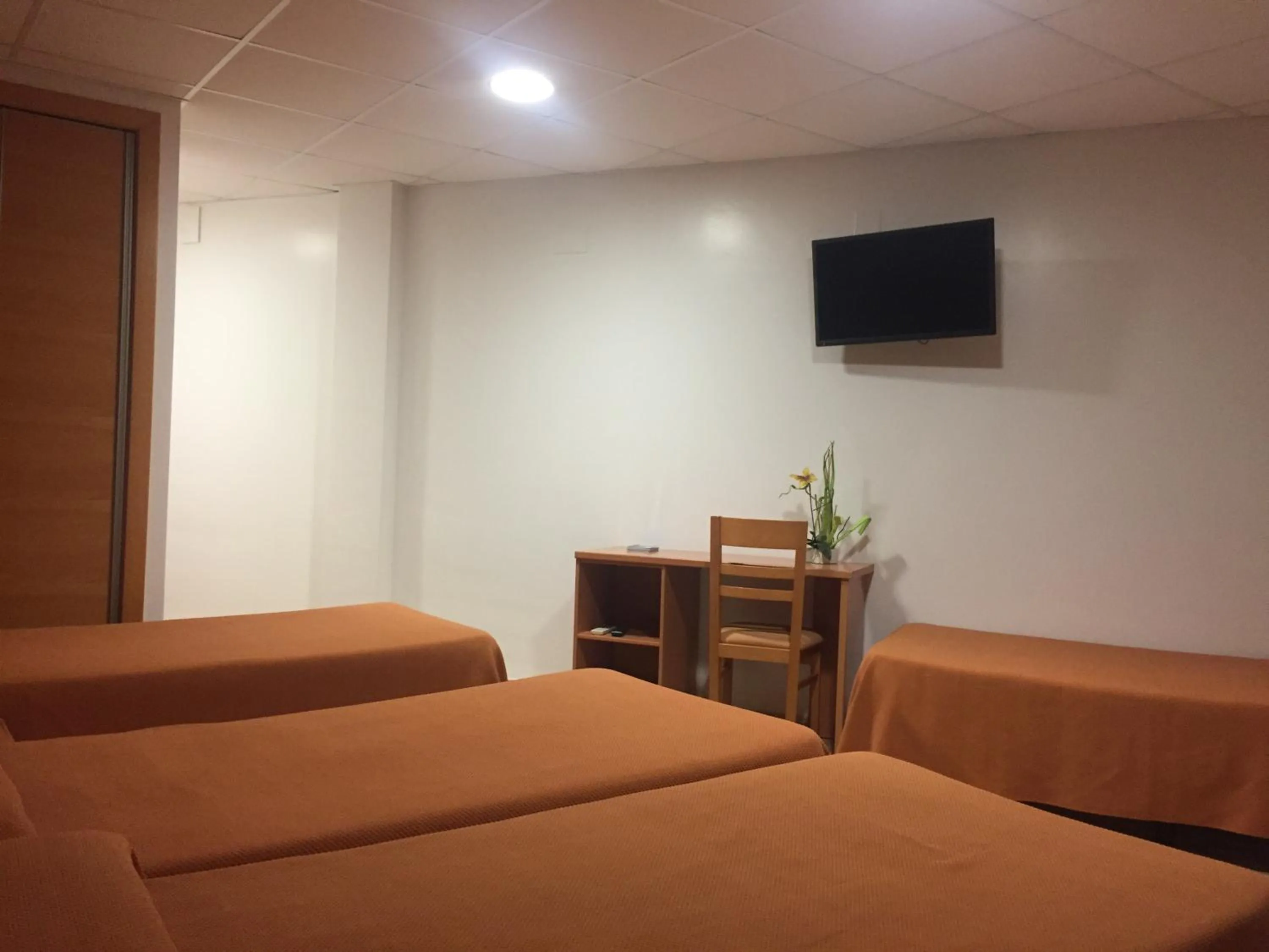 Photo of the whole room in Hotel Mediterrani Blau