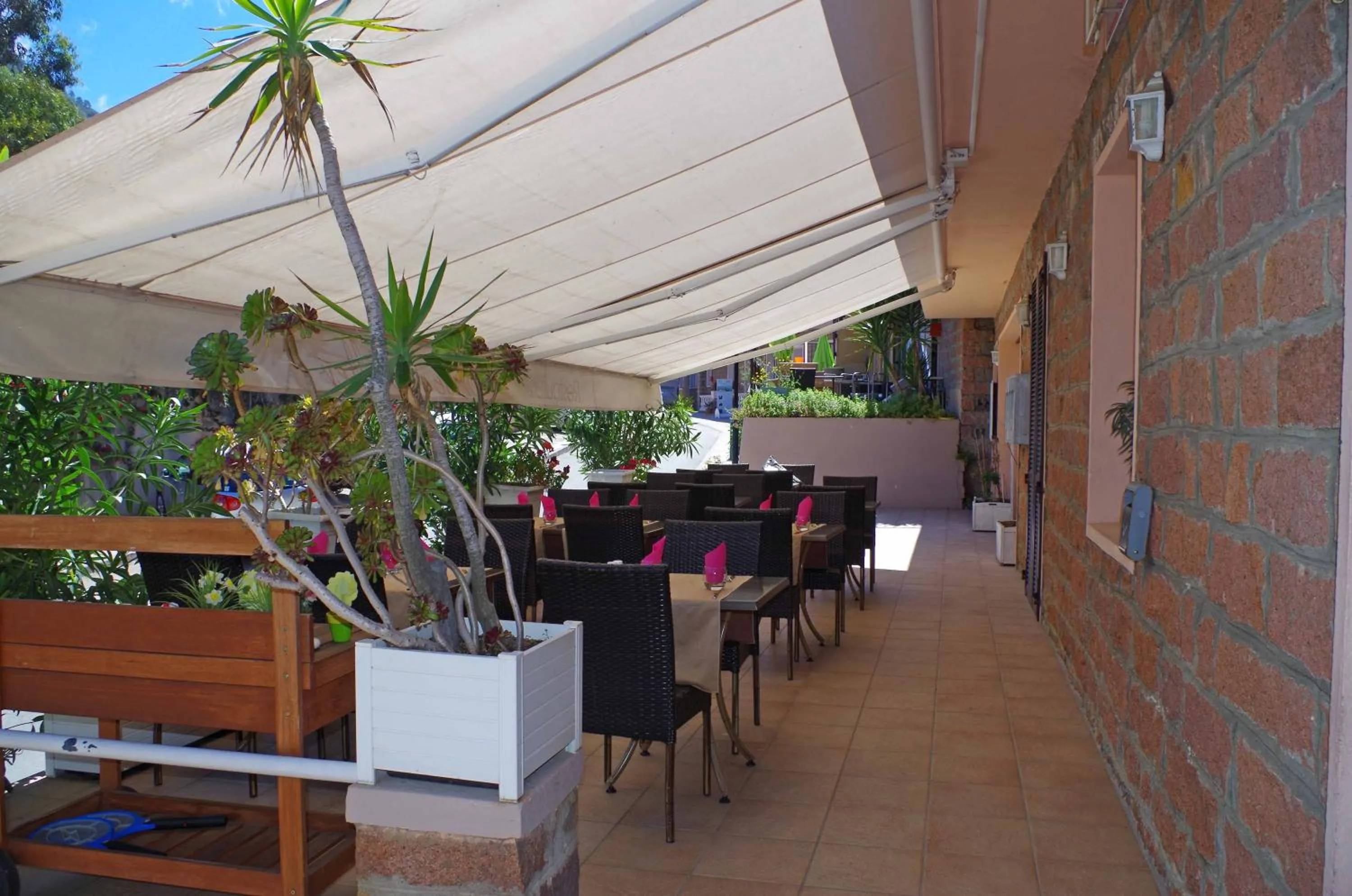 Restaurant/places to eat in Brise de Mer