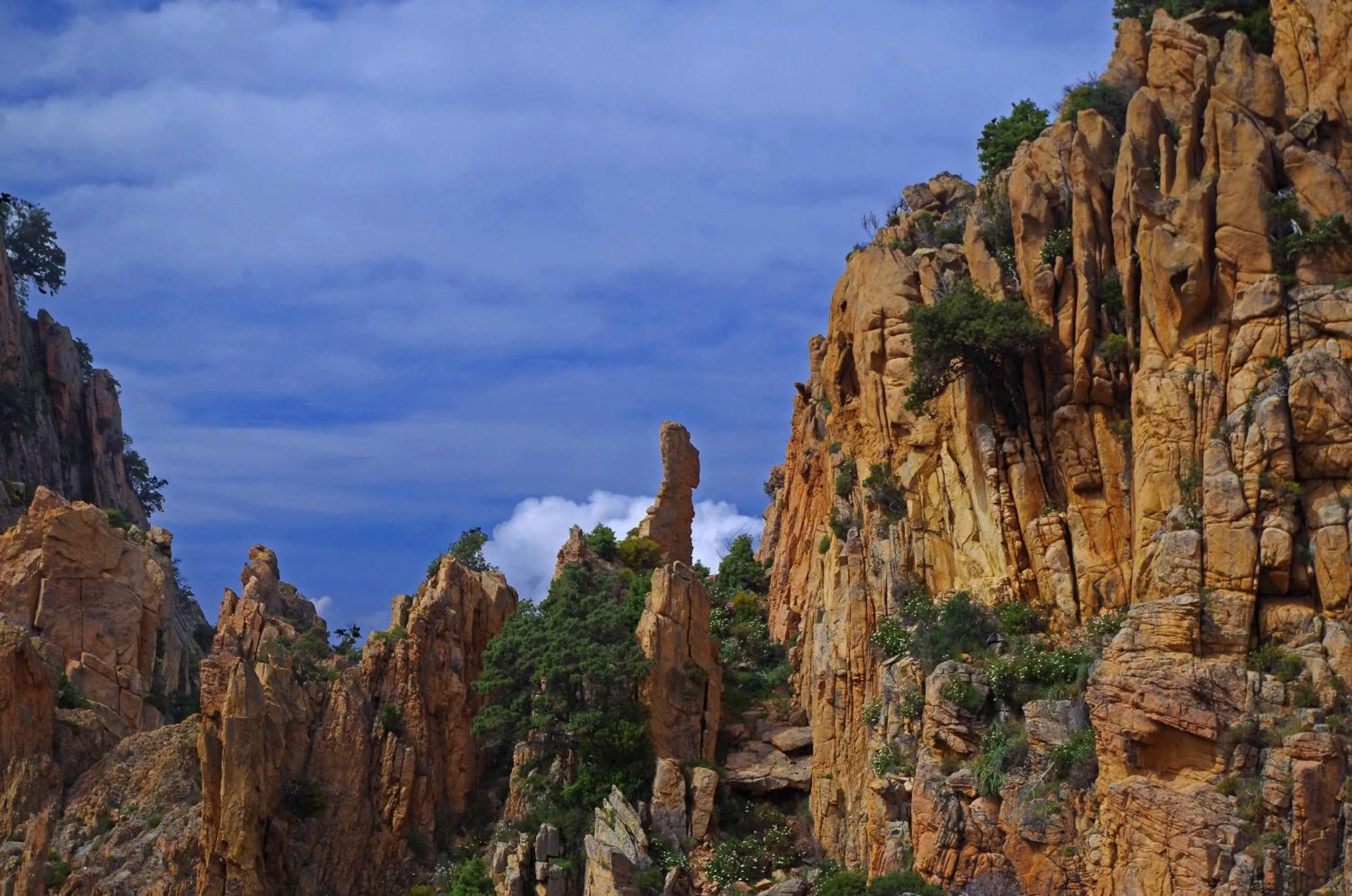 Area and facilities in Brise de Mer