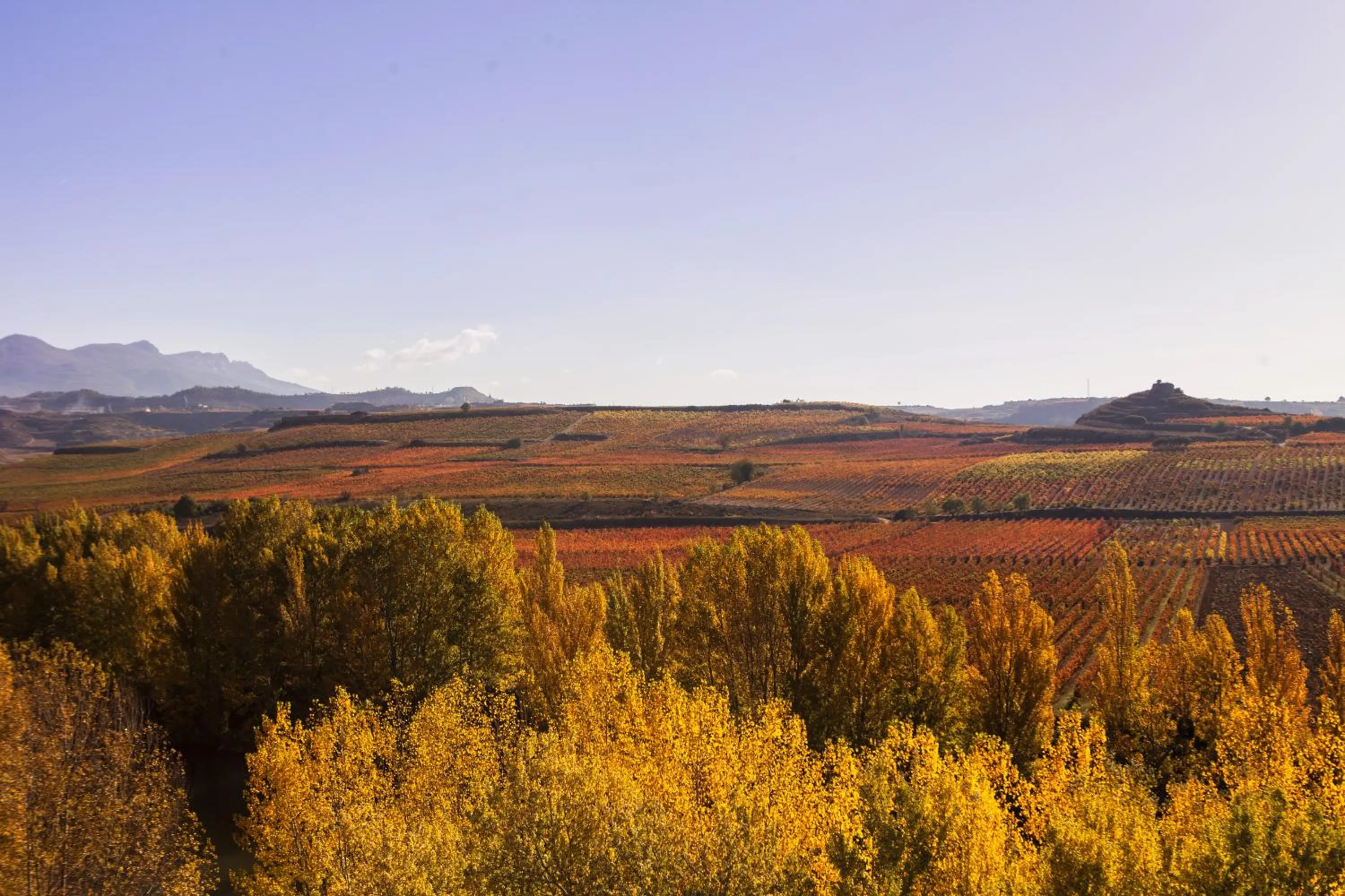 Natural landscape in Wine & Soul Suites