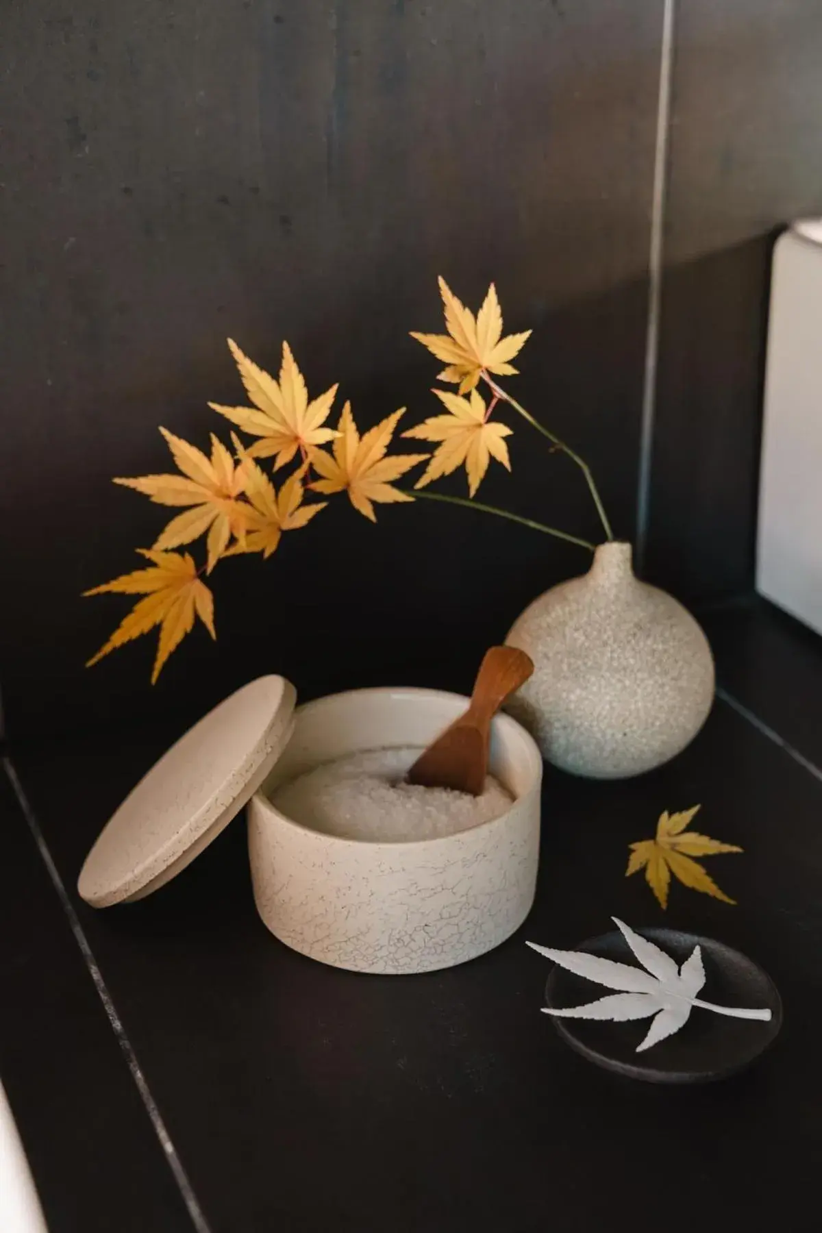 Maana Kyoto Maana Kyoto