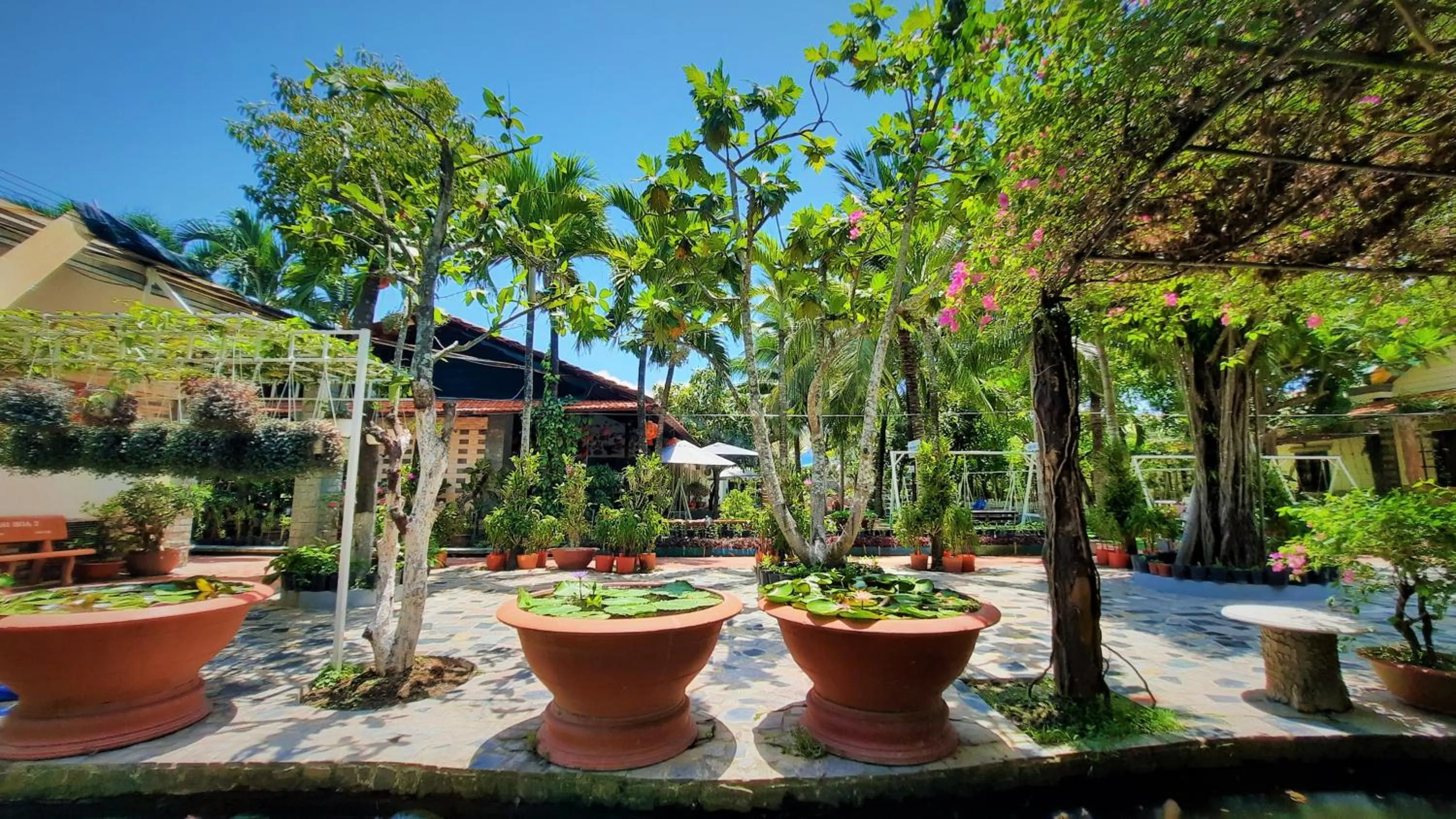 Garden in Thanh Dat Resort