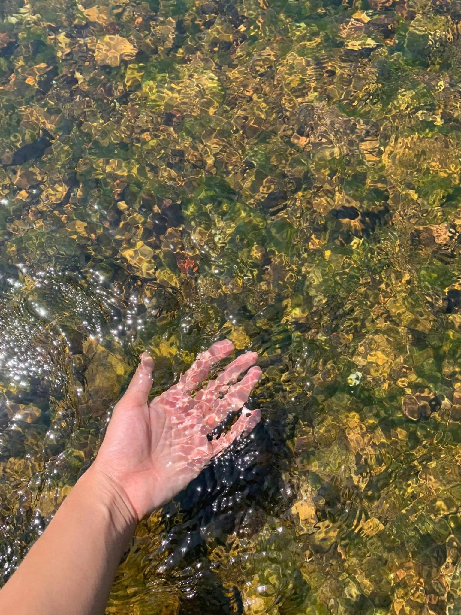 Garden in Orchard Pa La U