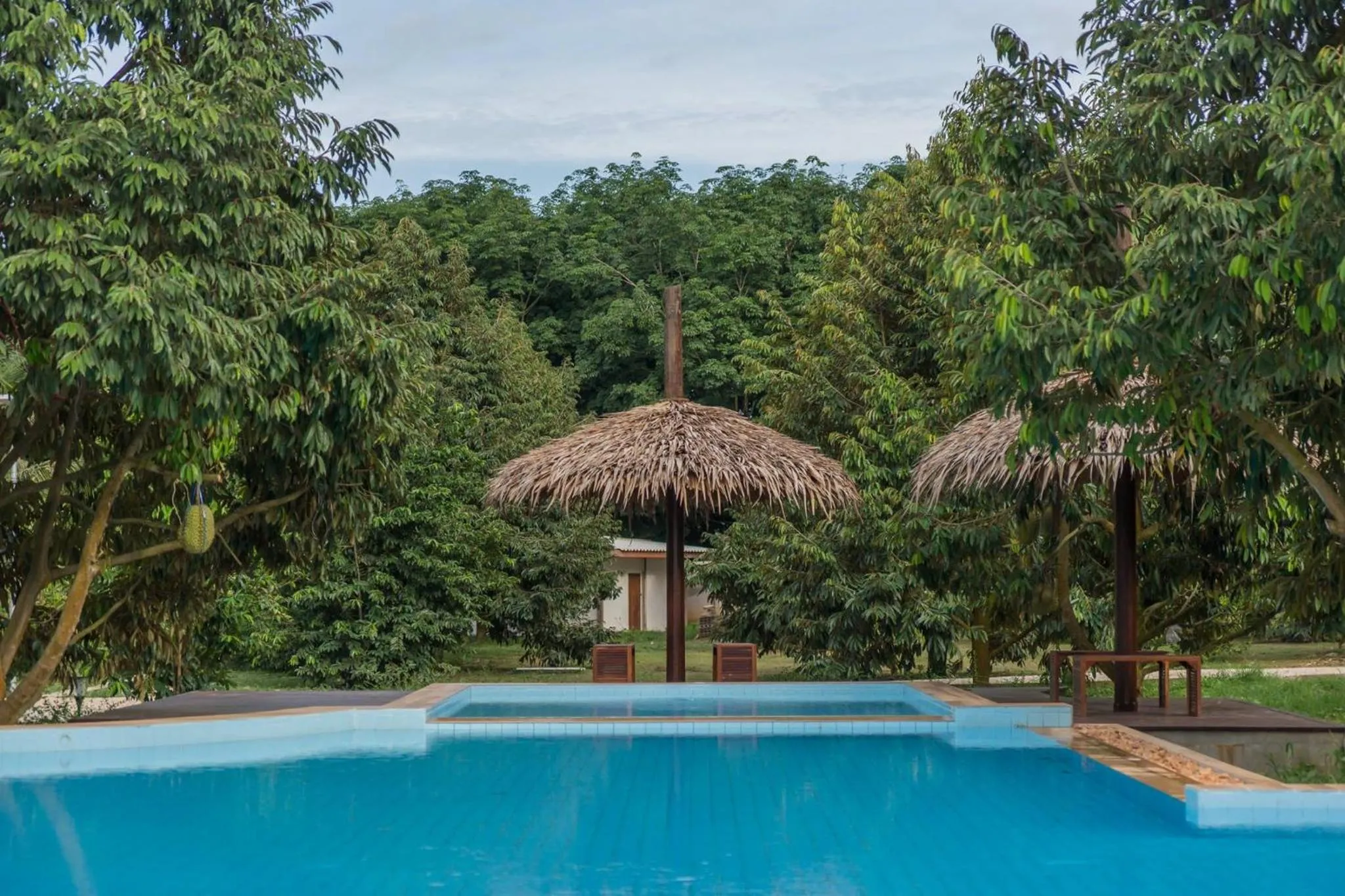 Swimming pool in Orchard Pa La U