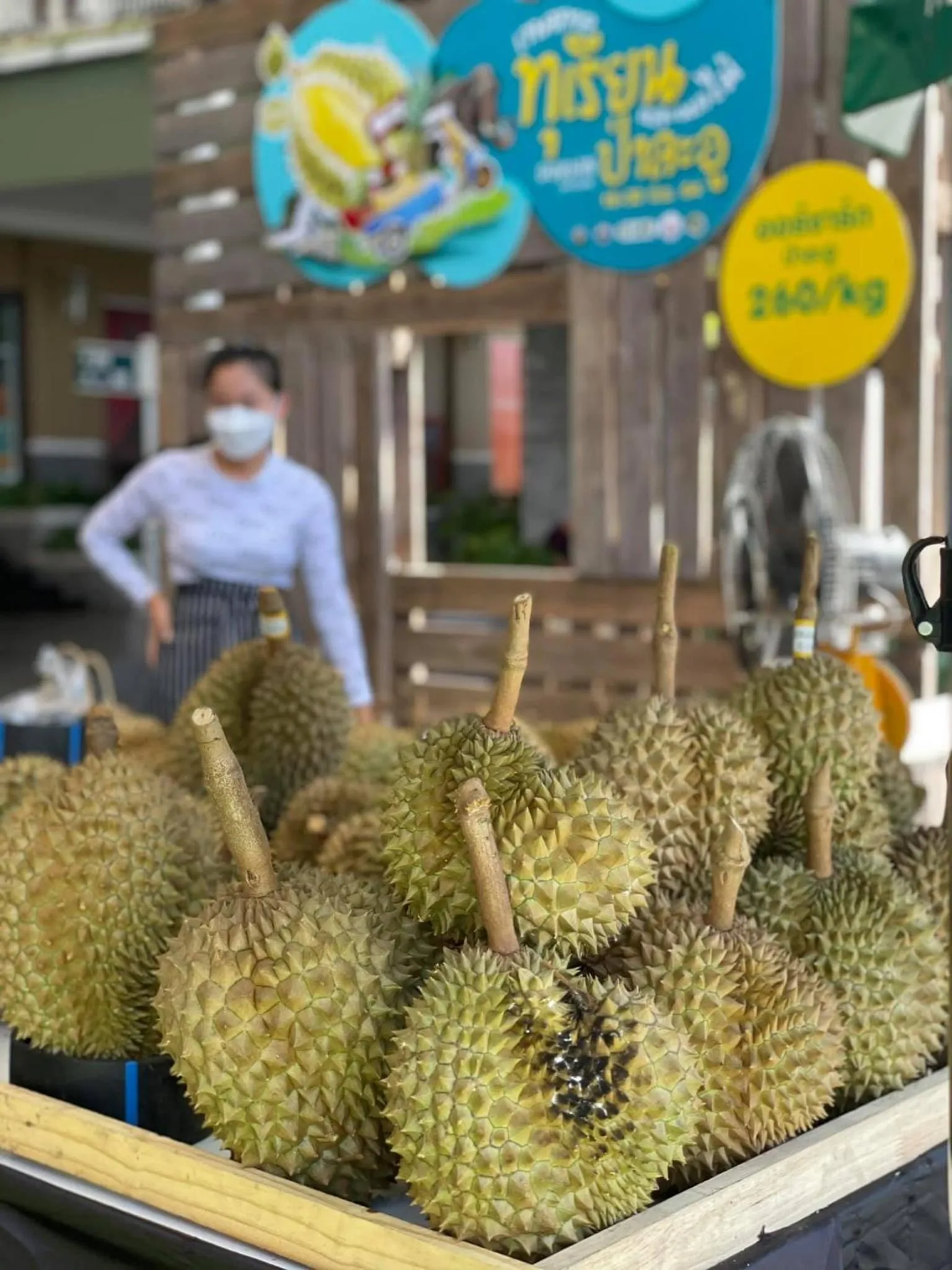 Garden in Orchard Pa La U