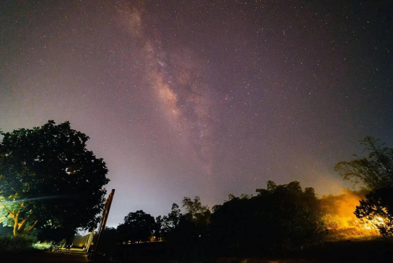 Night in Orchard Pa La U