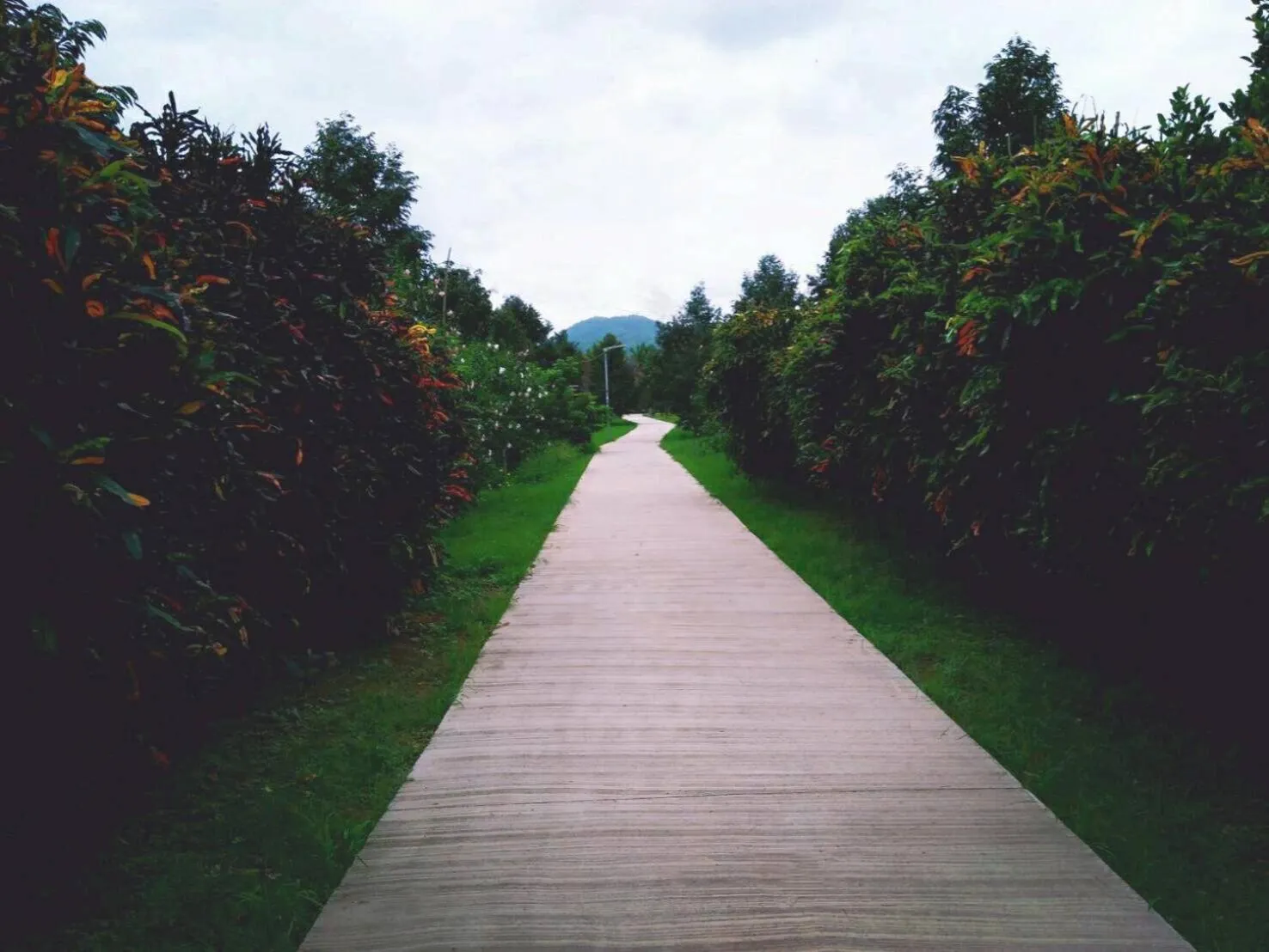 Garden in Orchard Pa La U