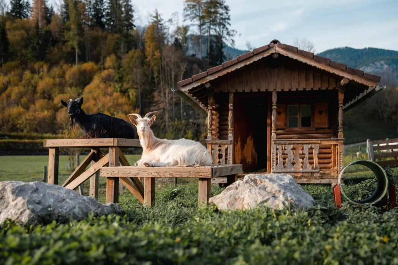 Pension Glitschnerhof