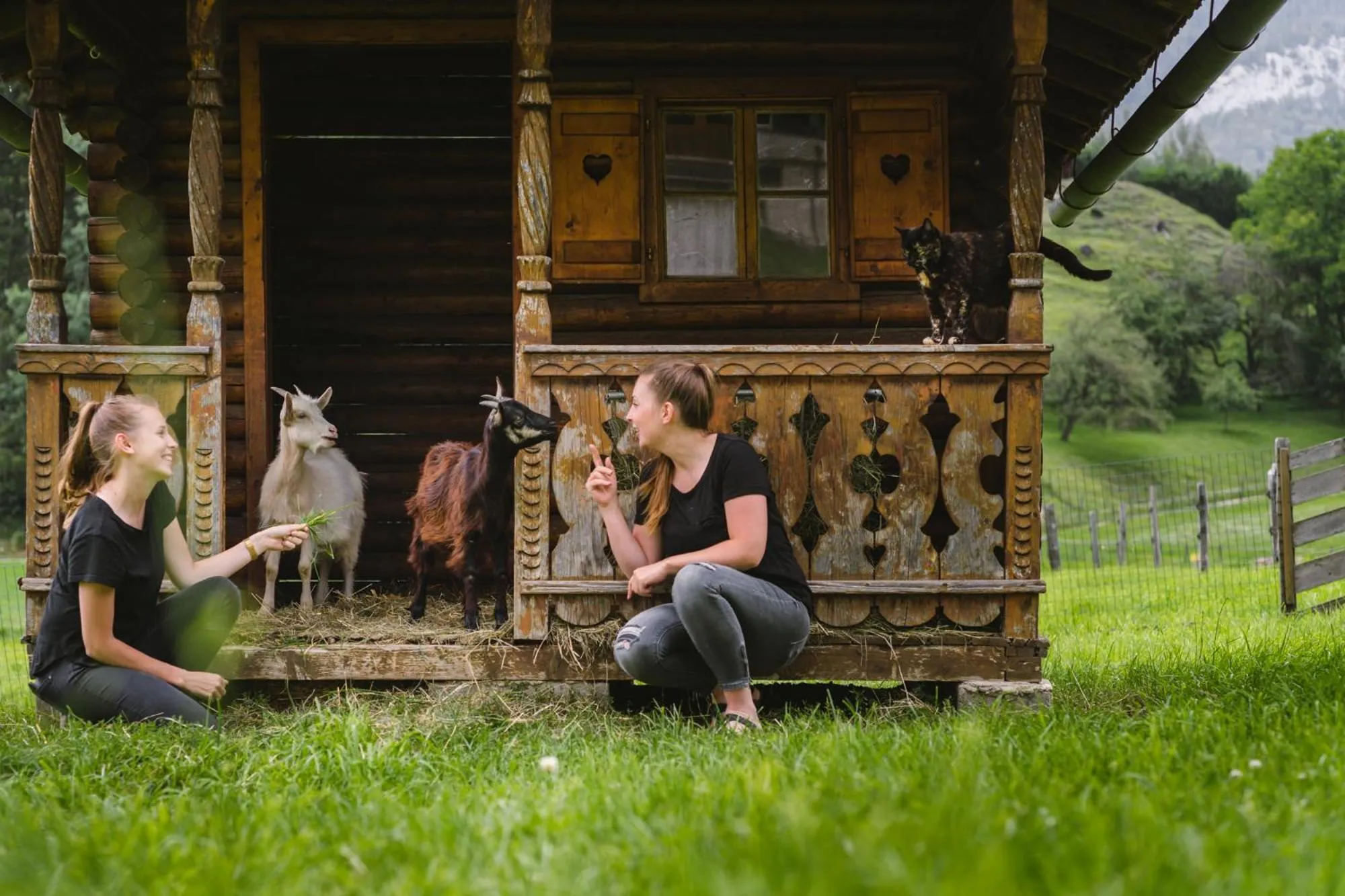 Animals in Pension Glitschnerhof