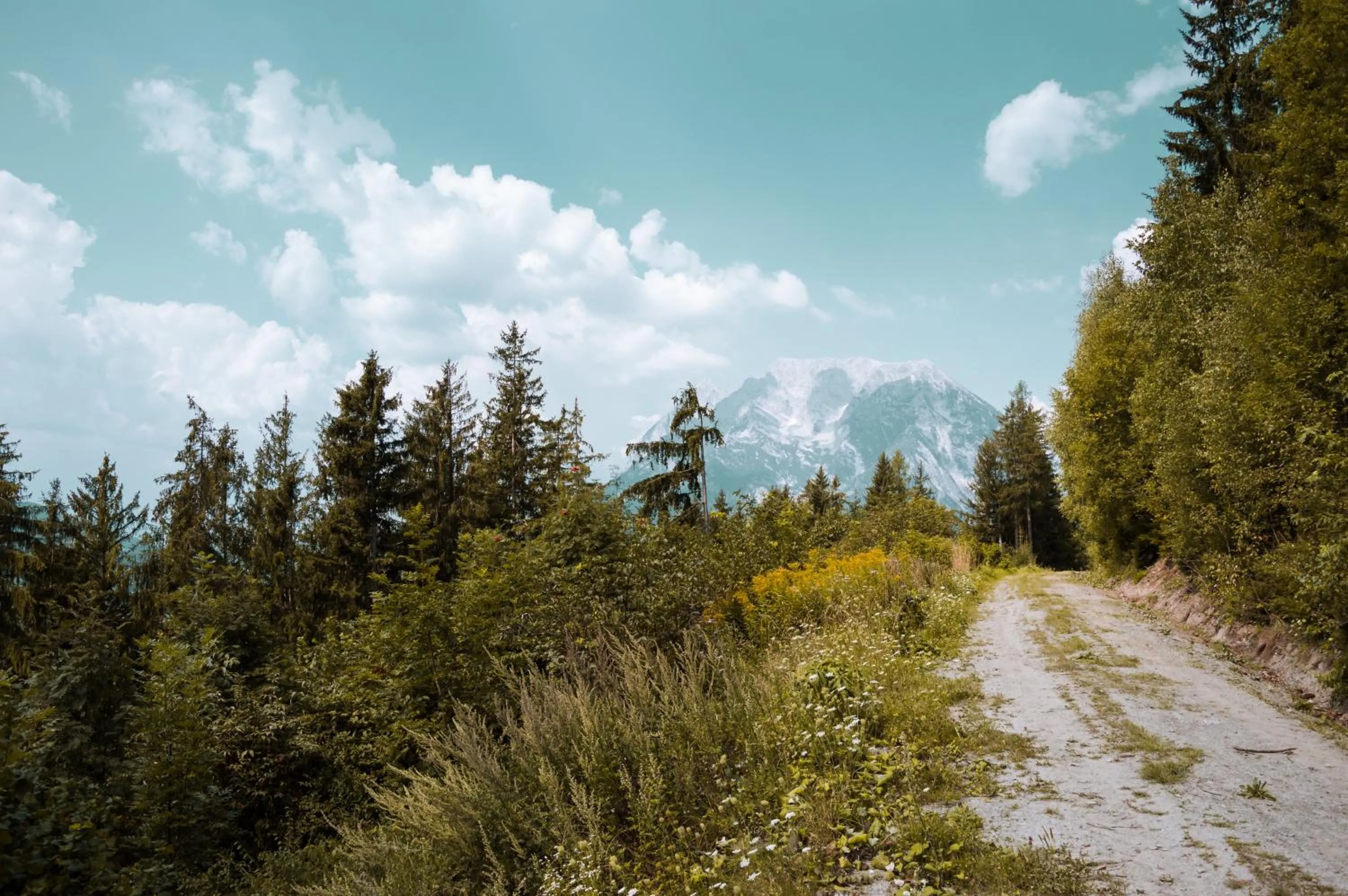 Natural landscape in Pension Glitschnerhof