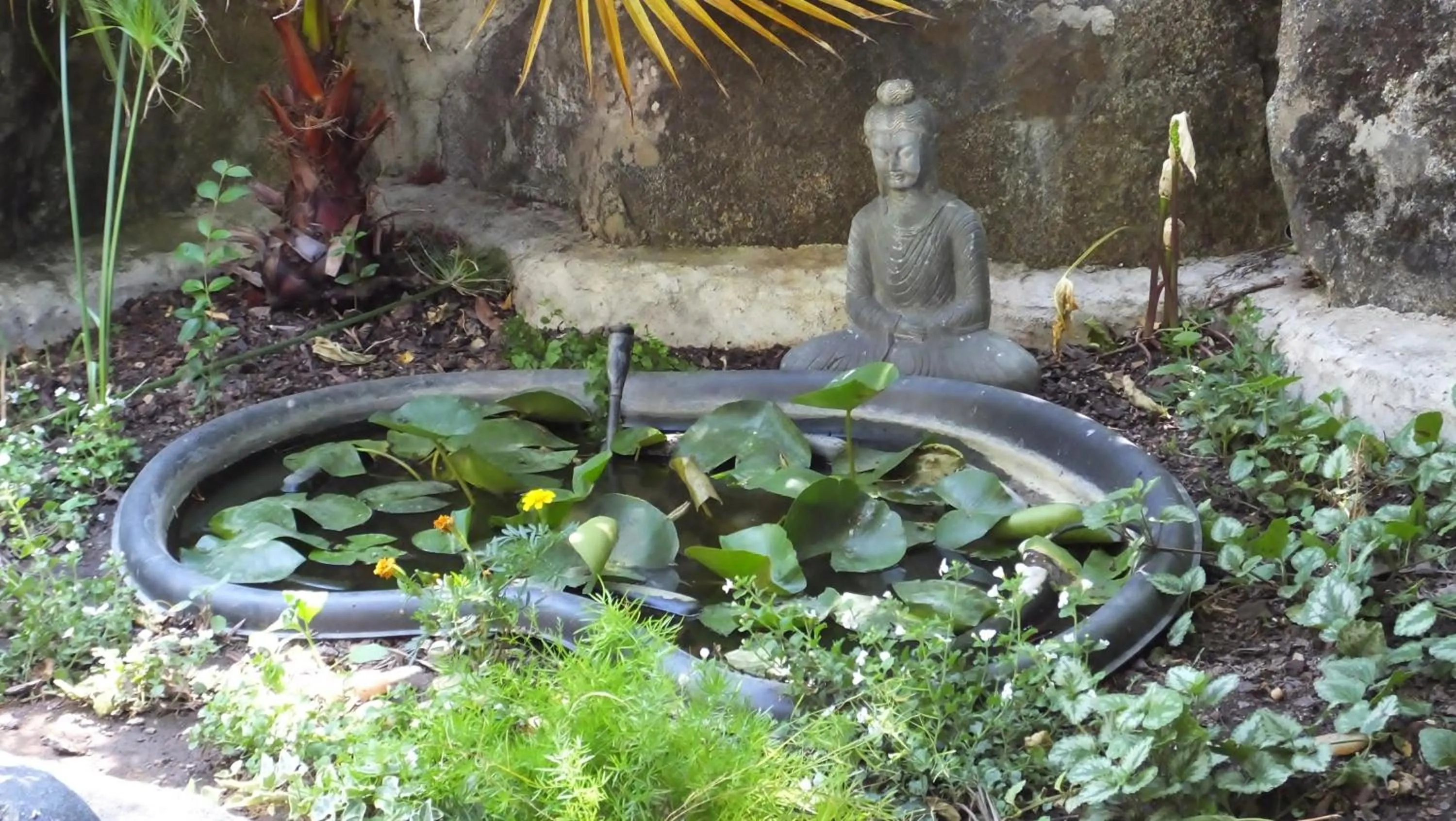 Garden in Monte Alerta Turismo Rural