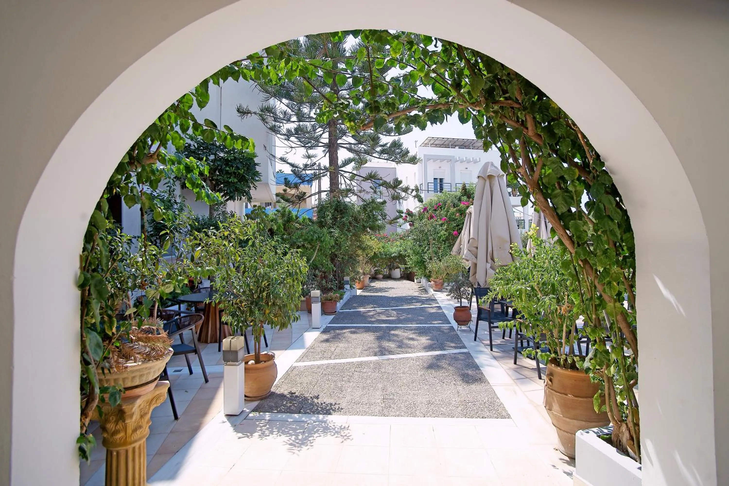 Garden in Kyparissia Beach Hotel