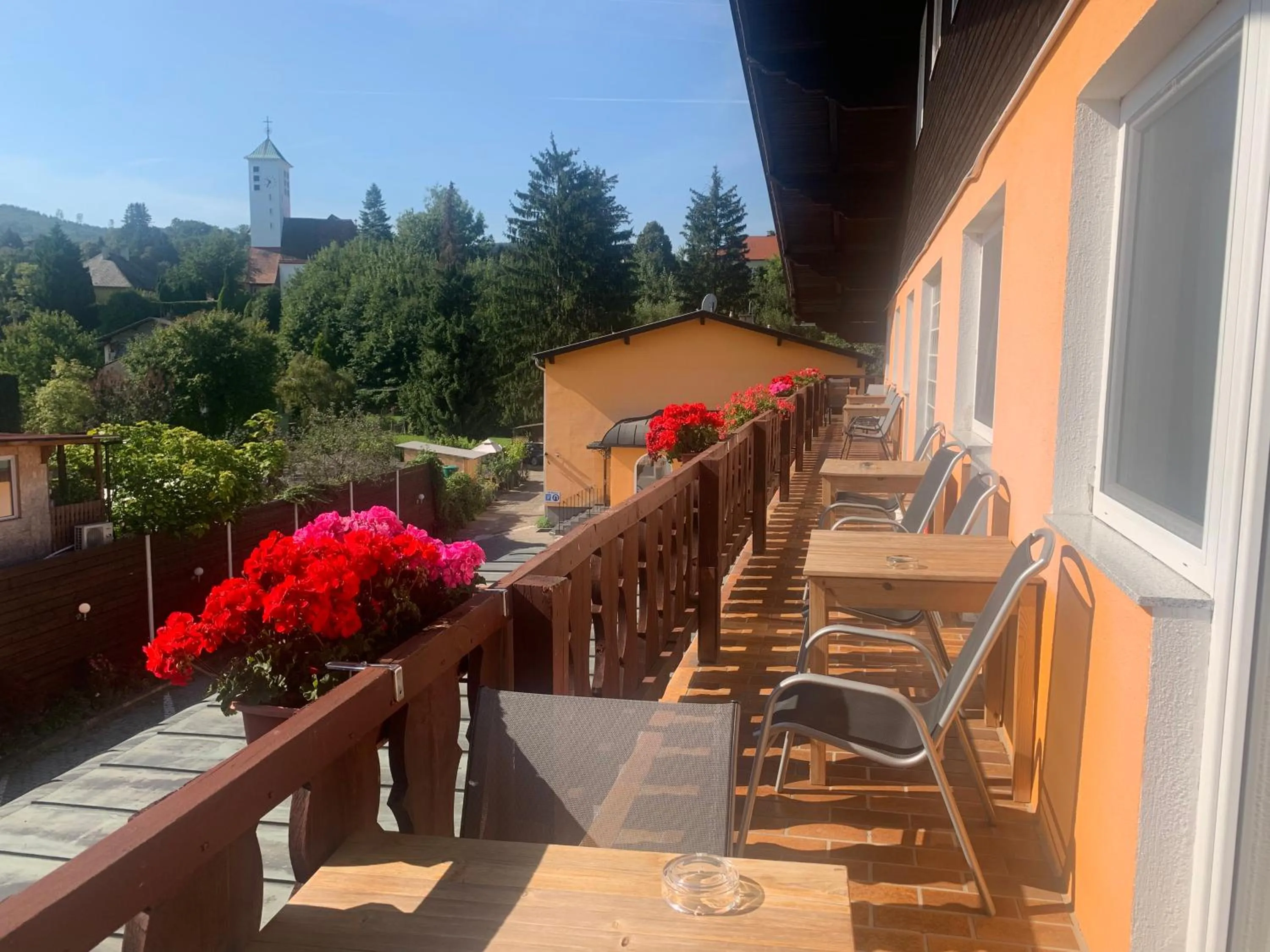 Balcony/Terrace in Hotel Austria