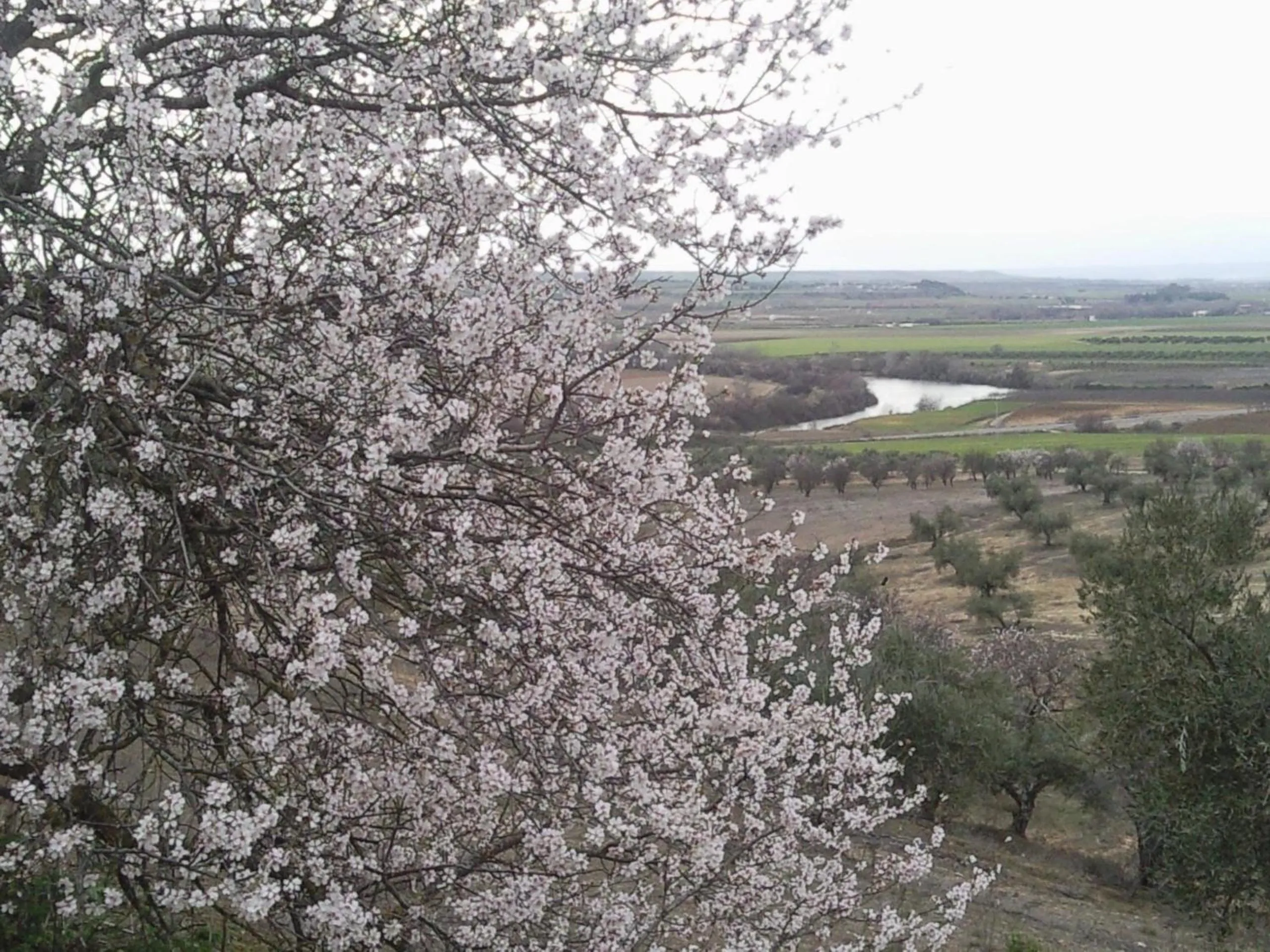 Day in Posada La Reja