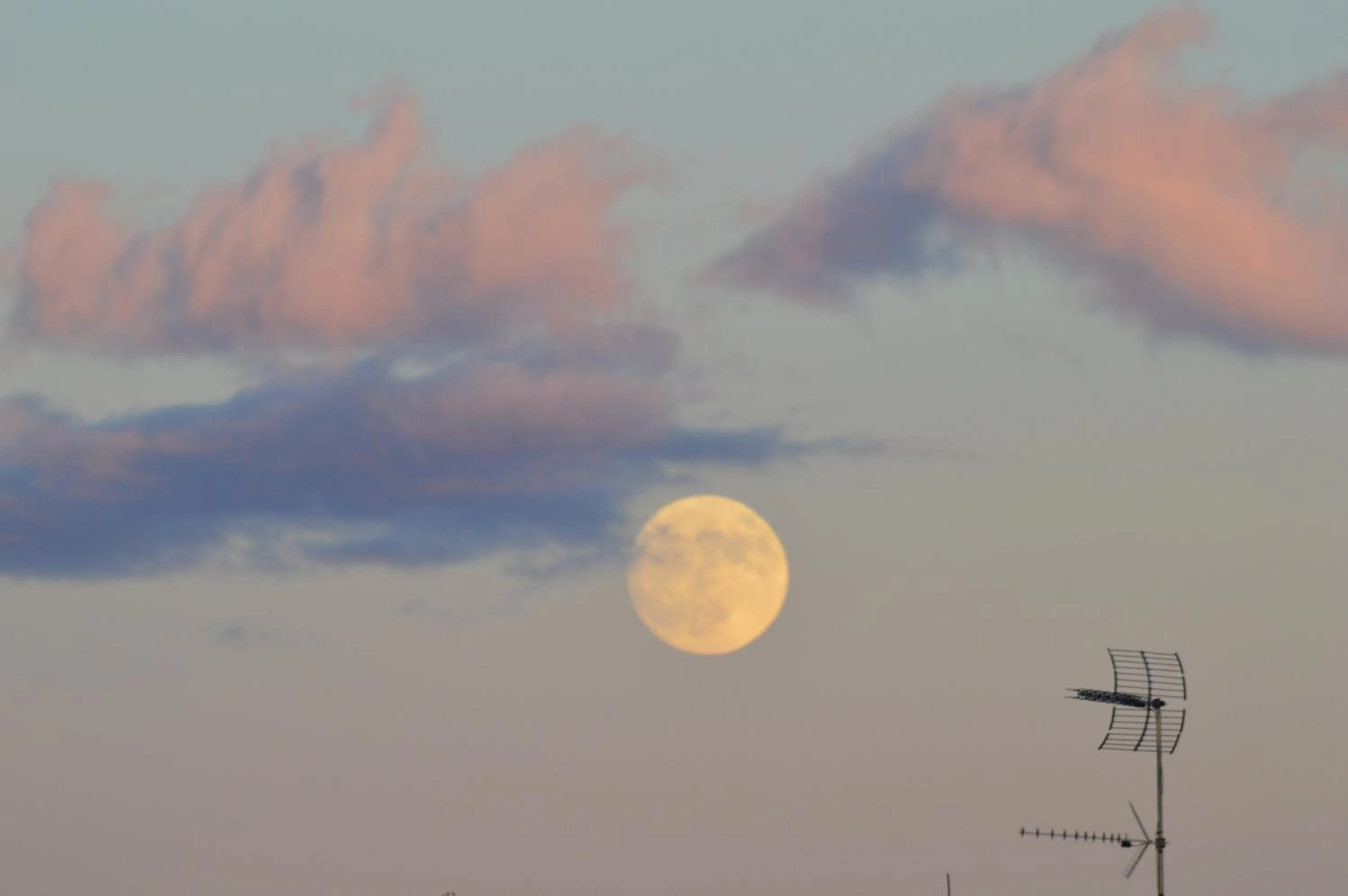 Property building in Posada La Reja