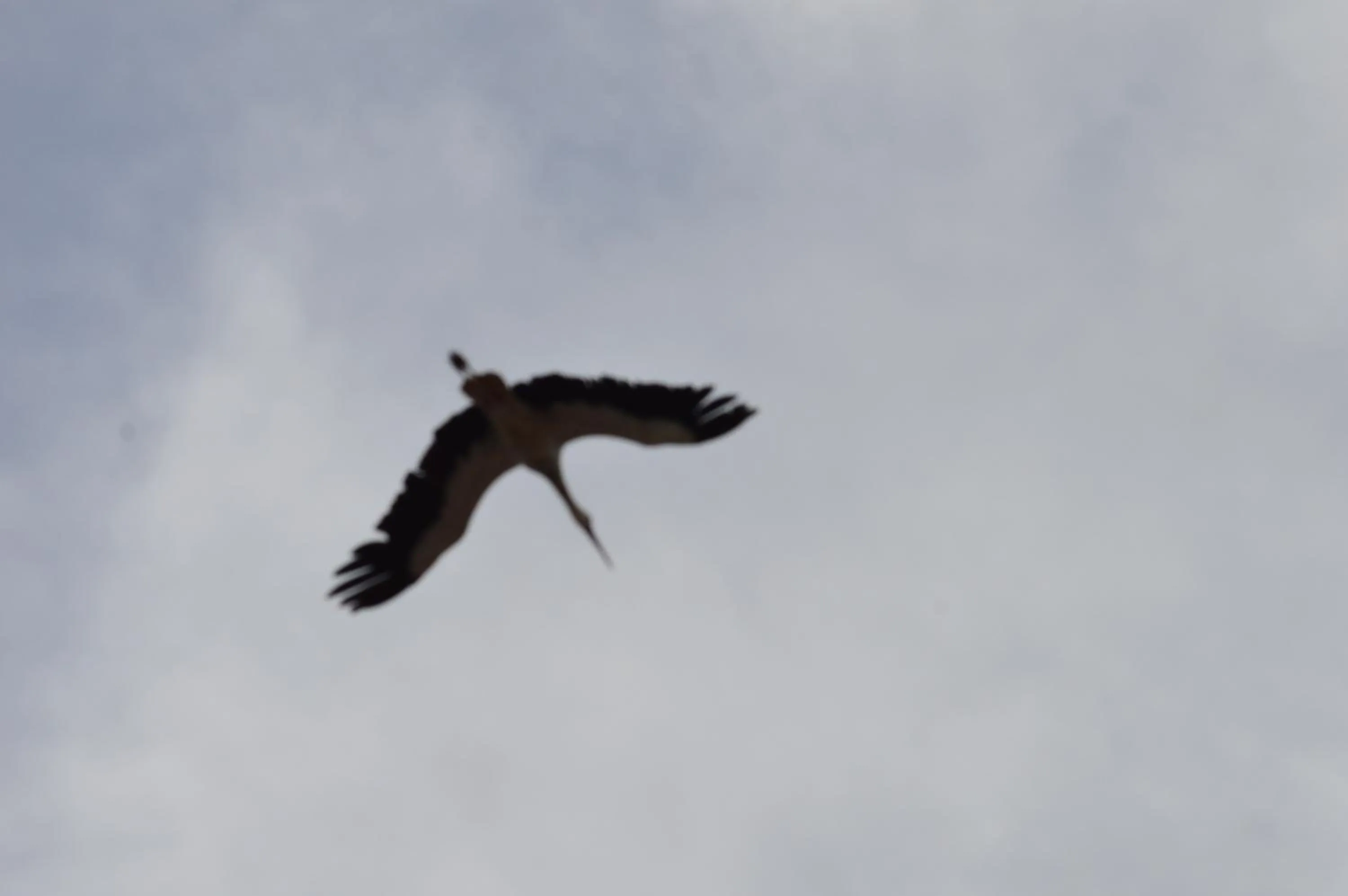 Other in Posada La Reja