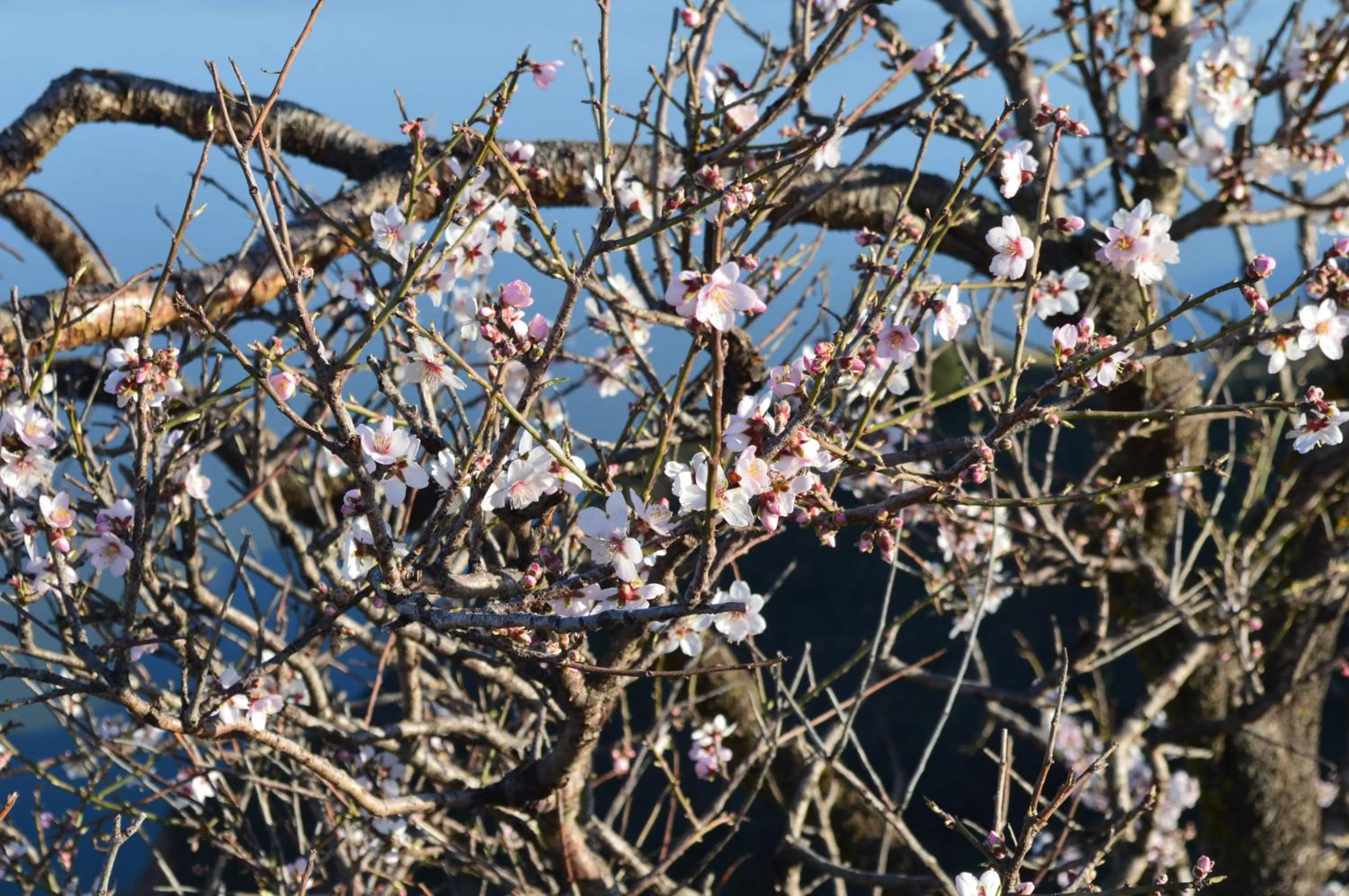 Day in Posada La Reja
