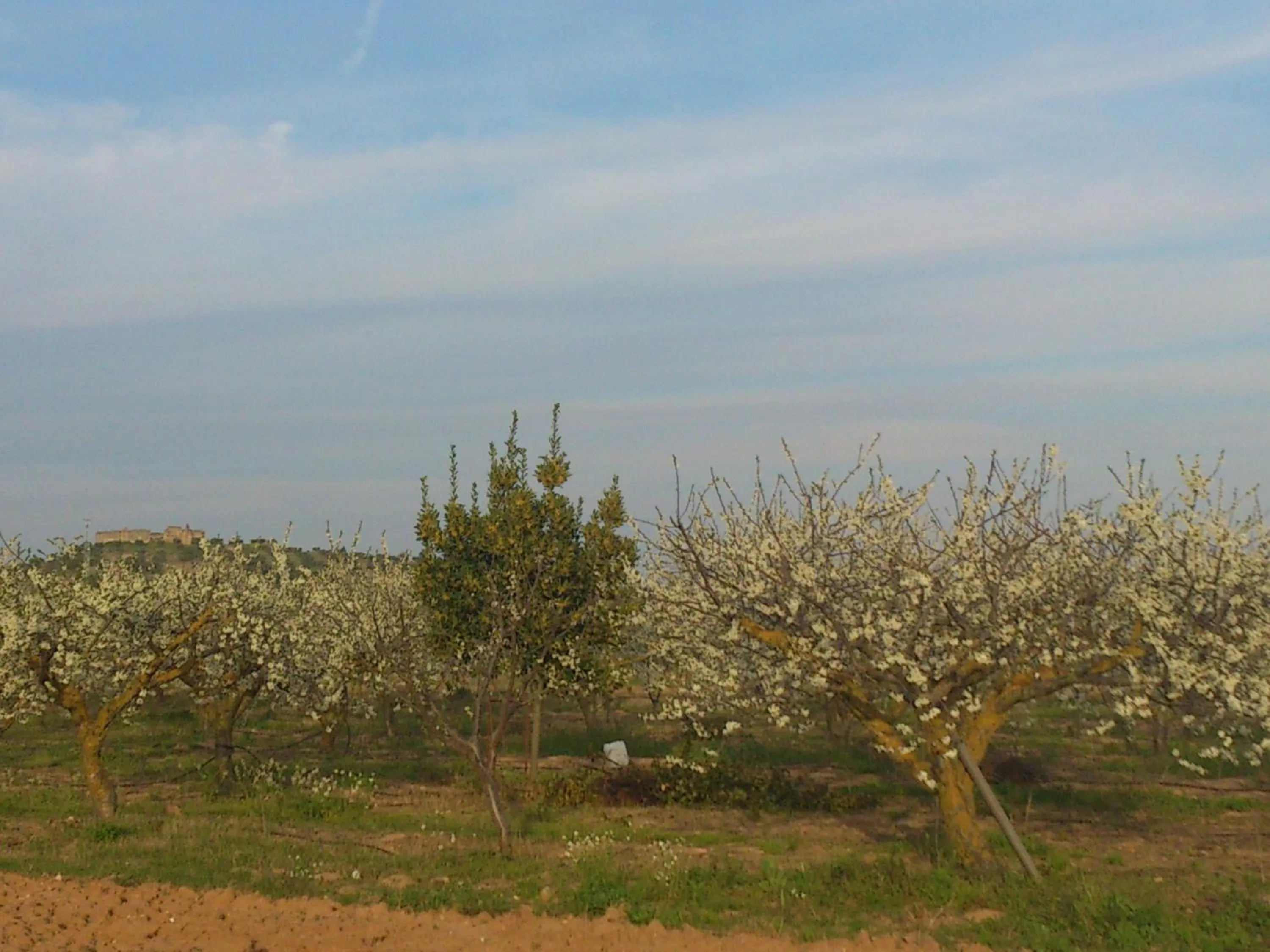 Property building in Posada La Reja