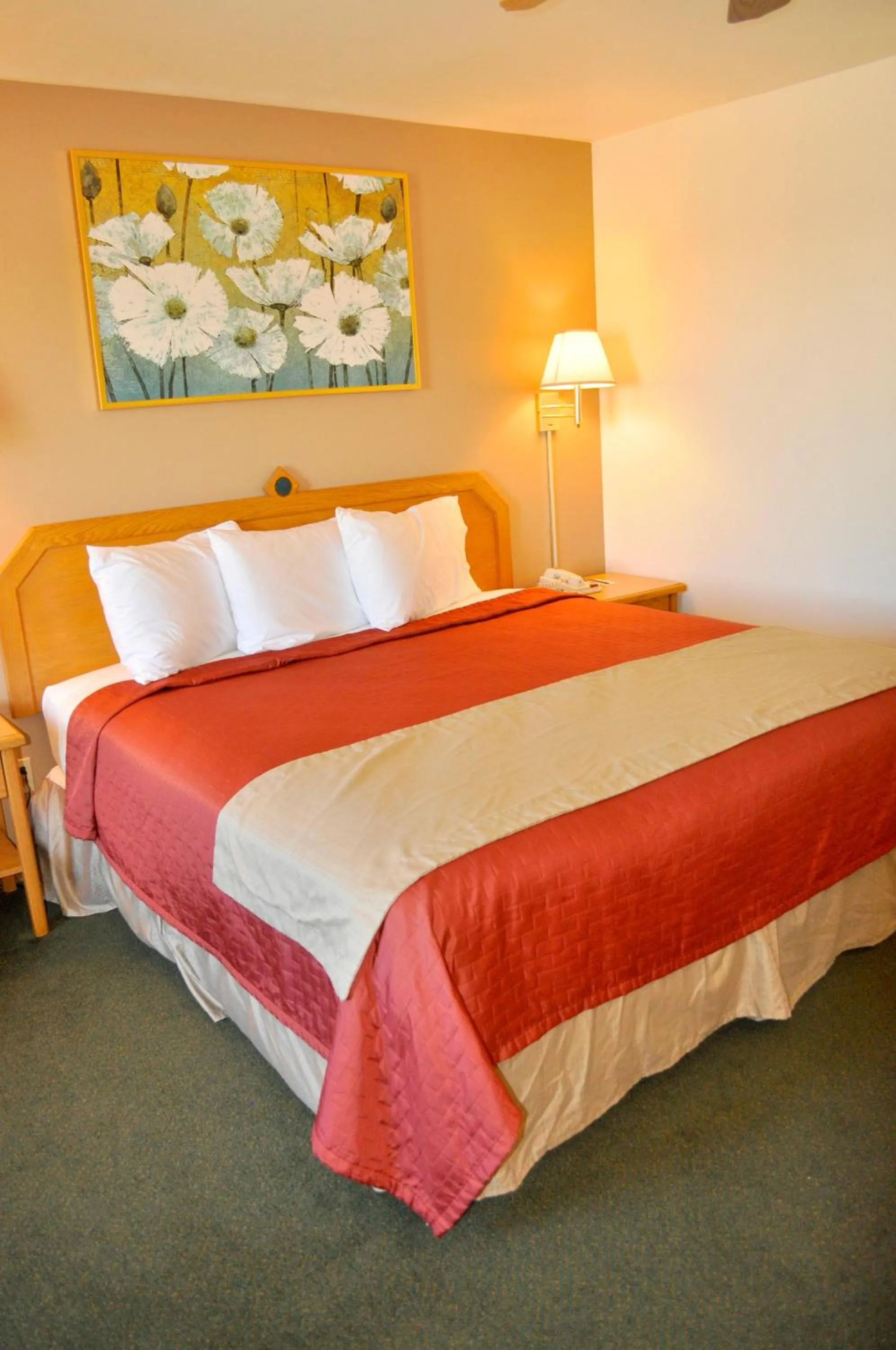 Bed in Wingate by Wyndham Farmington NM