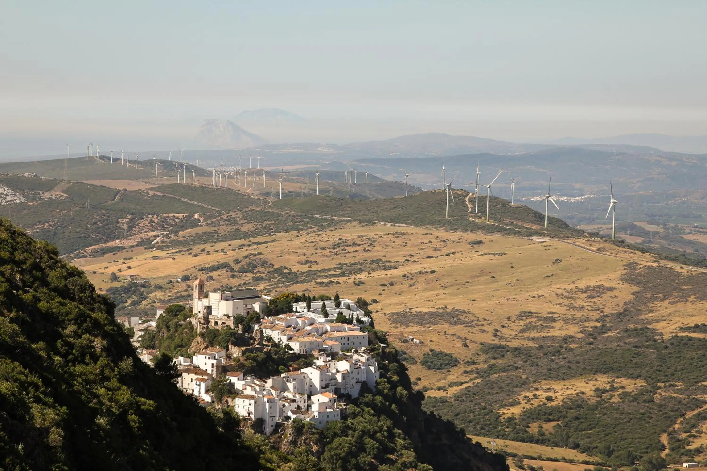 Other in DDG Retreat