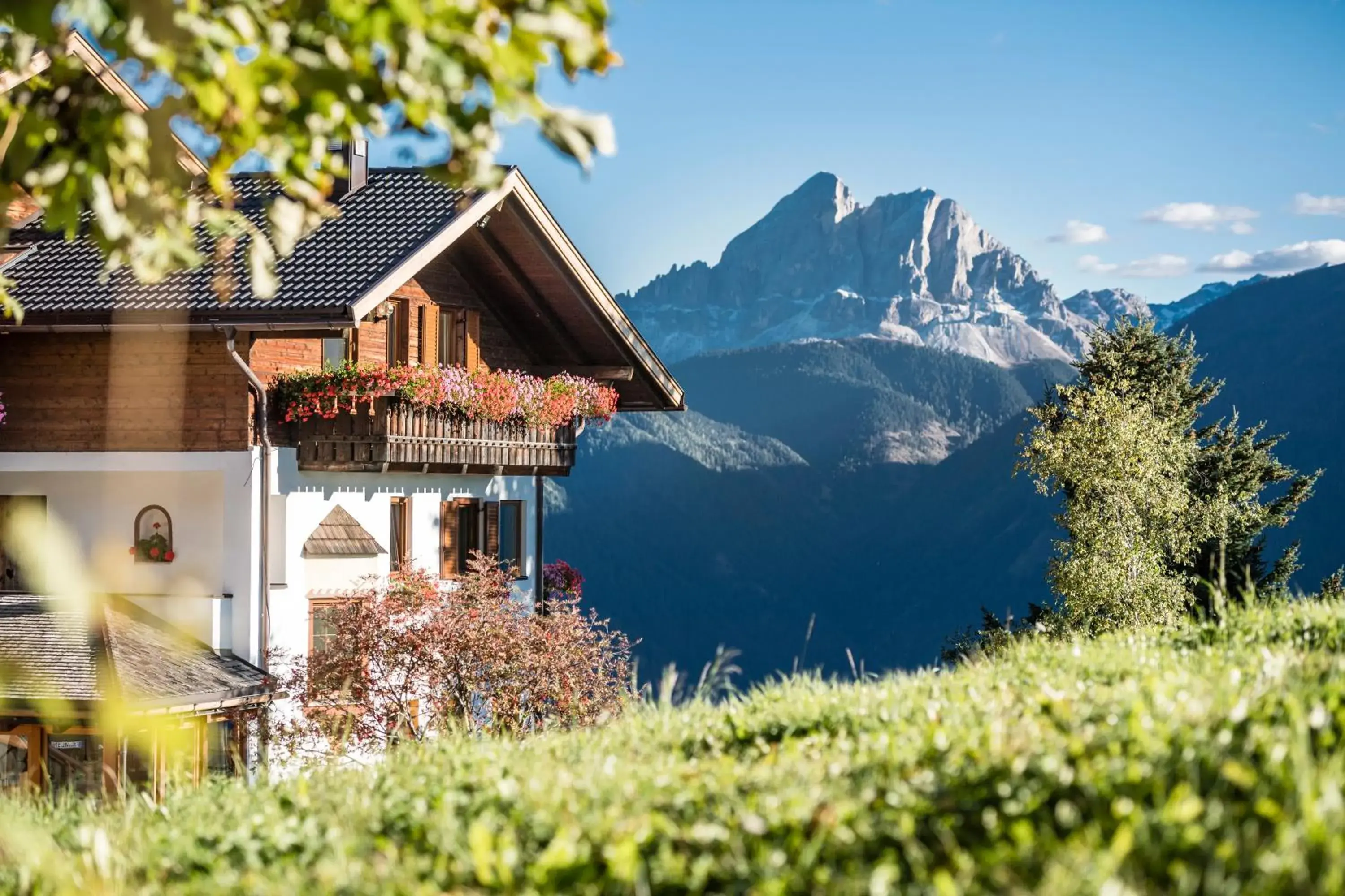 Herol - my mountain retreat Herol - my mountain retreat