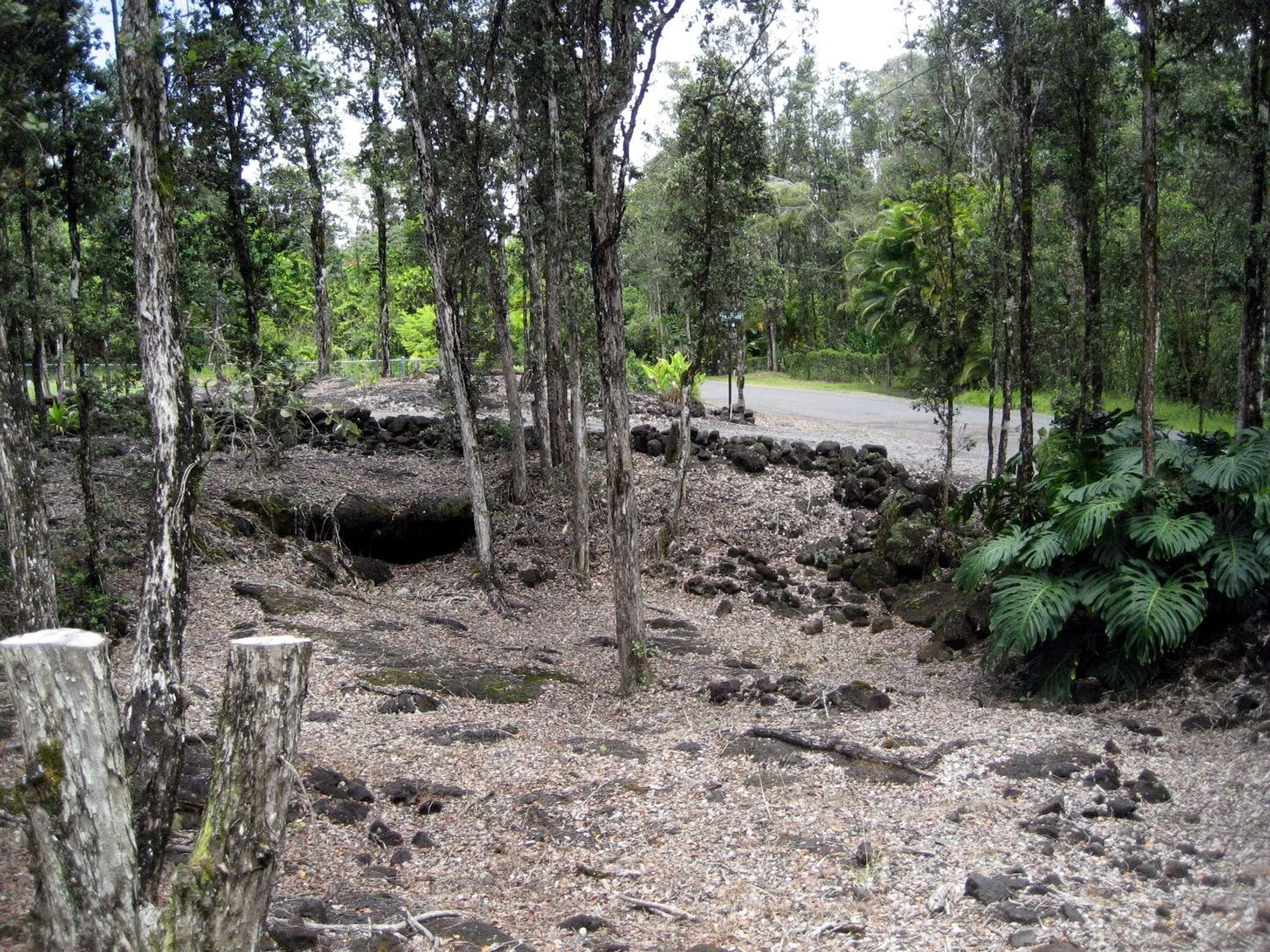 Natural landscape in Keaau Place