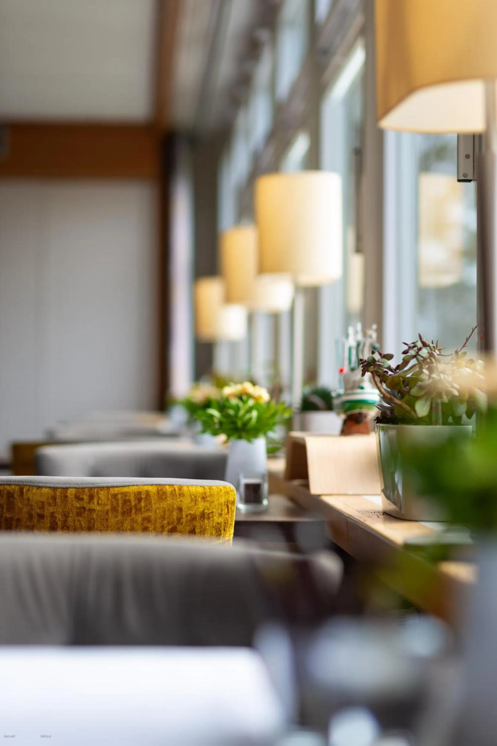 Restaurant/places to eat in Hotel das Miramar