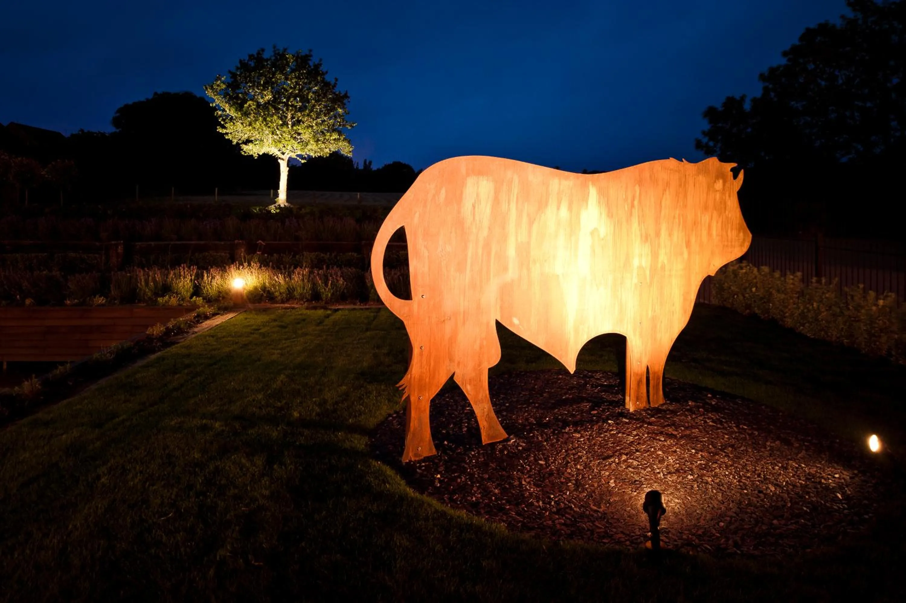 Night in The Bull at Great Totham Limited