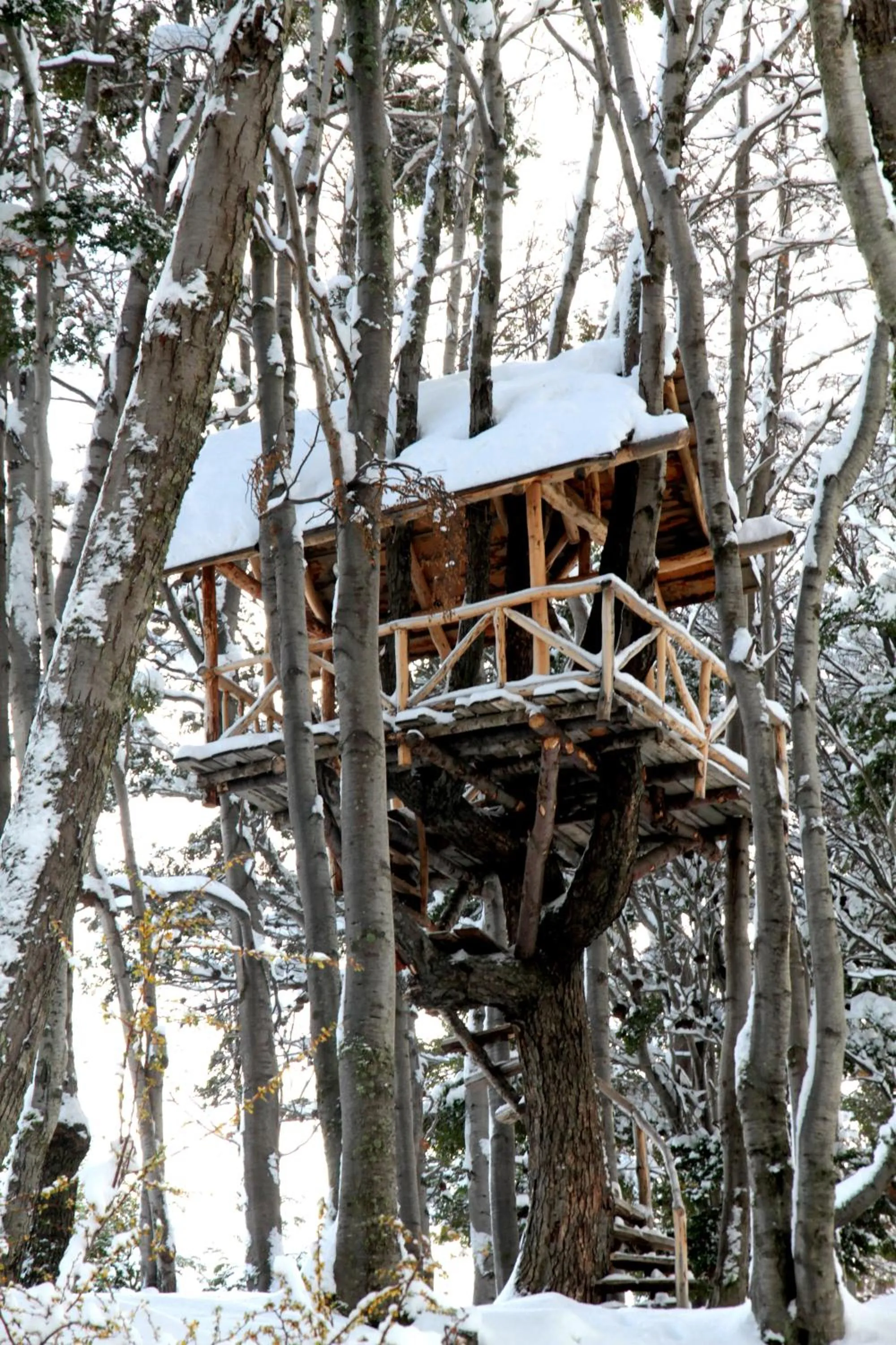 Off site in Aldea Nevada