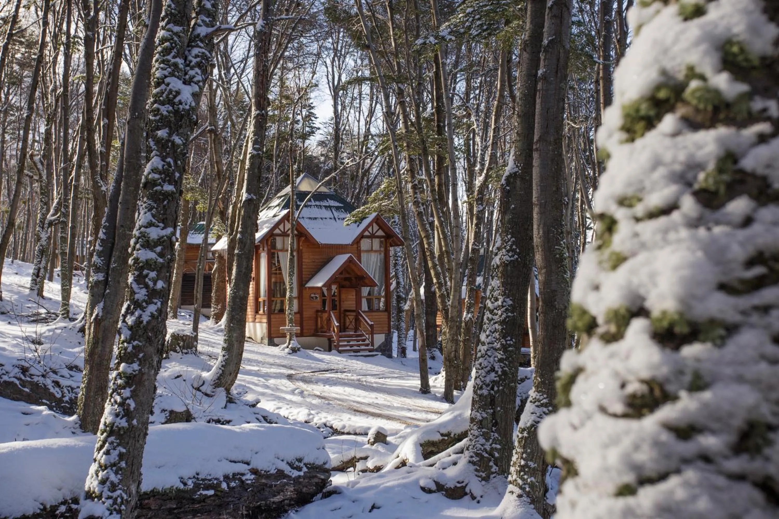 Off site in Aldea Nevada