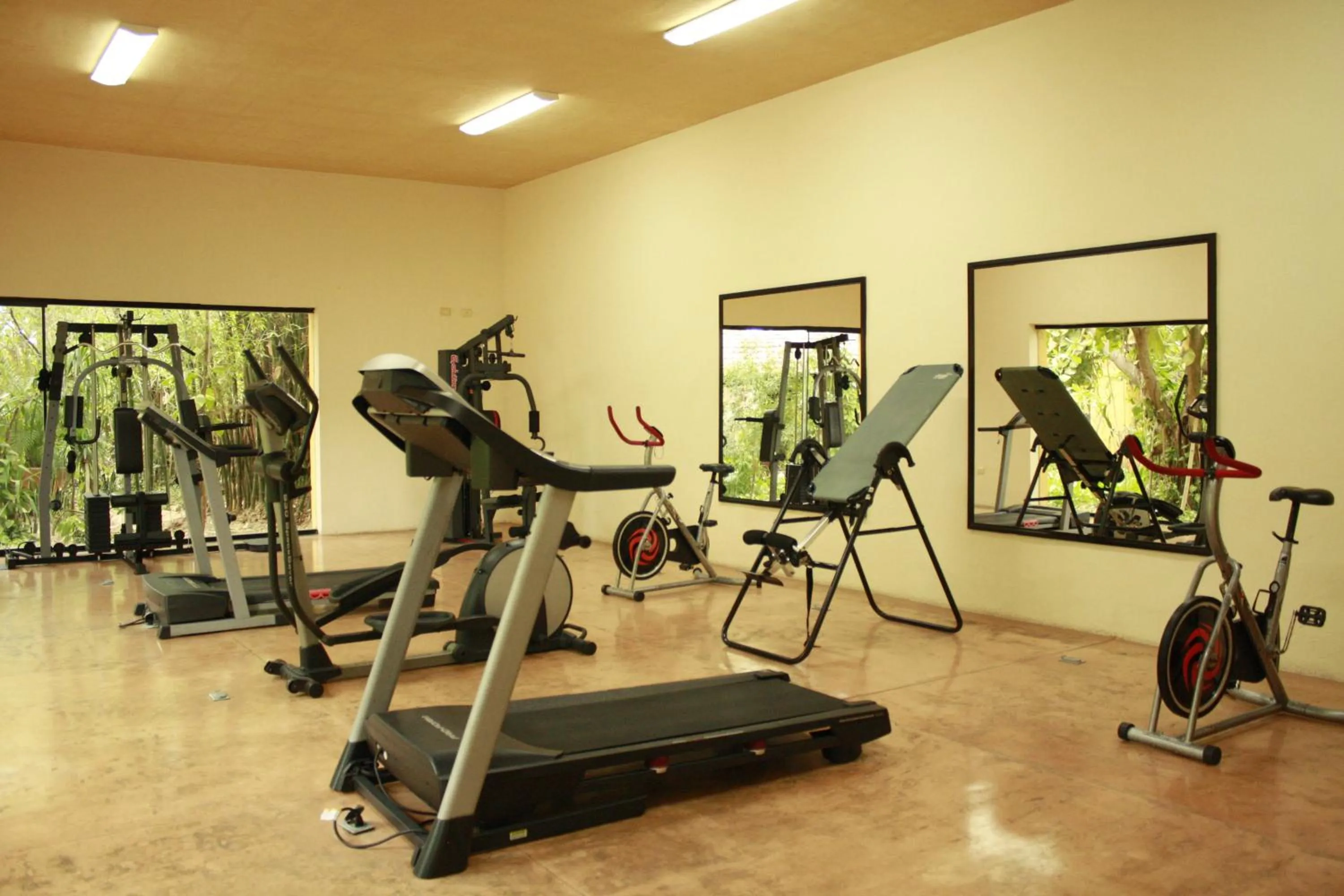 Fitness centre/facilities in Hacienda Misne