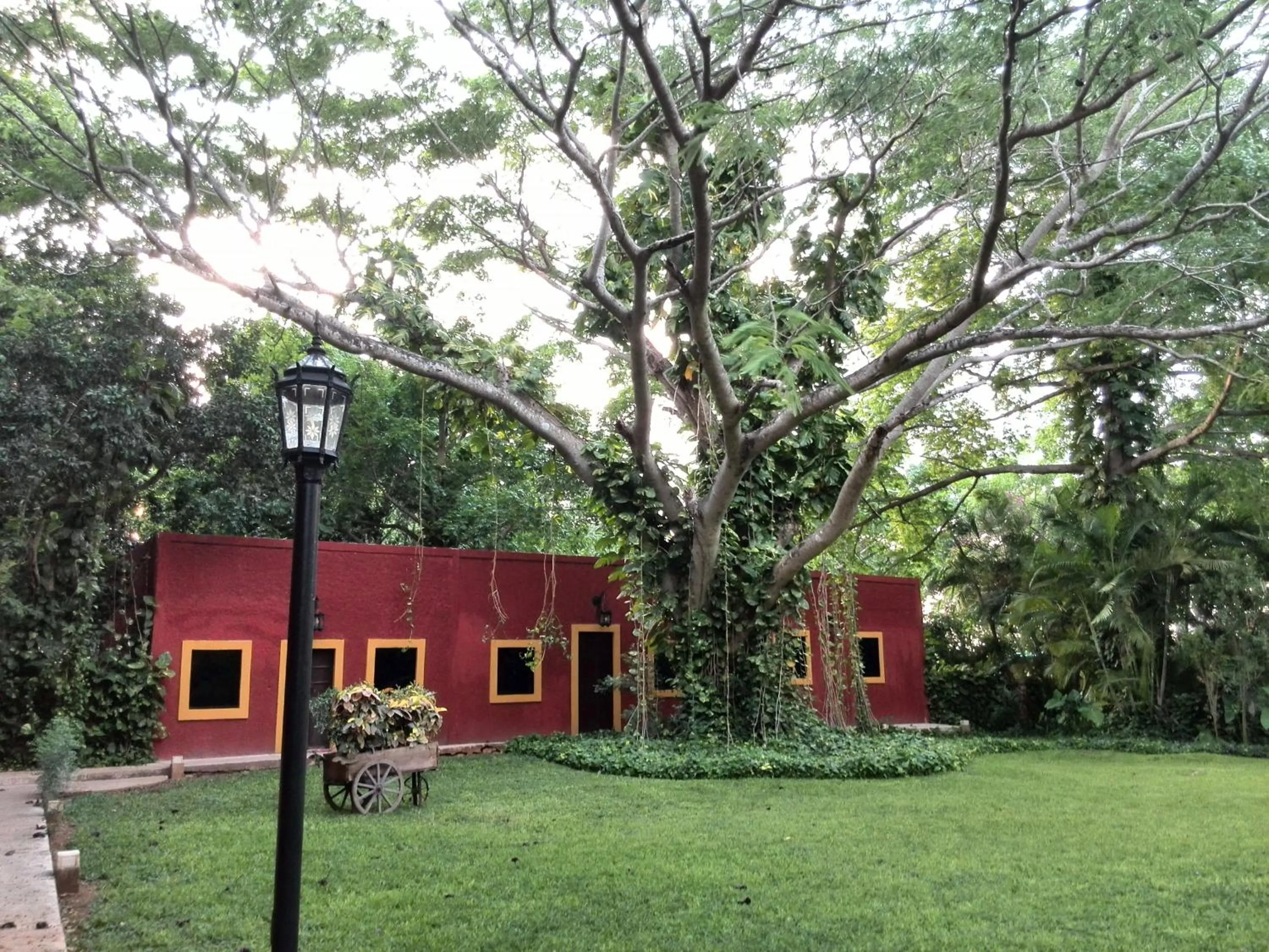 Garden in Hacienda Misne