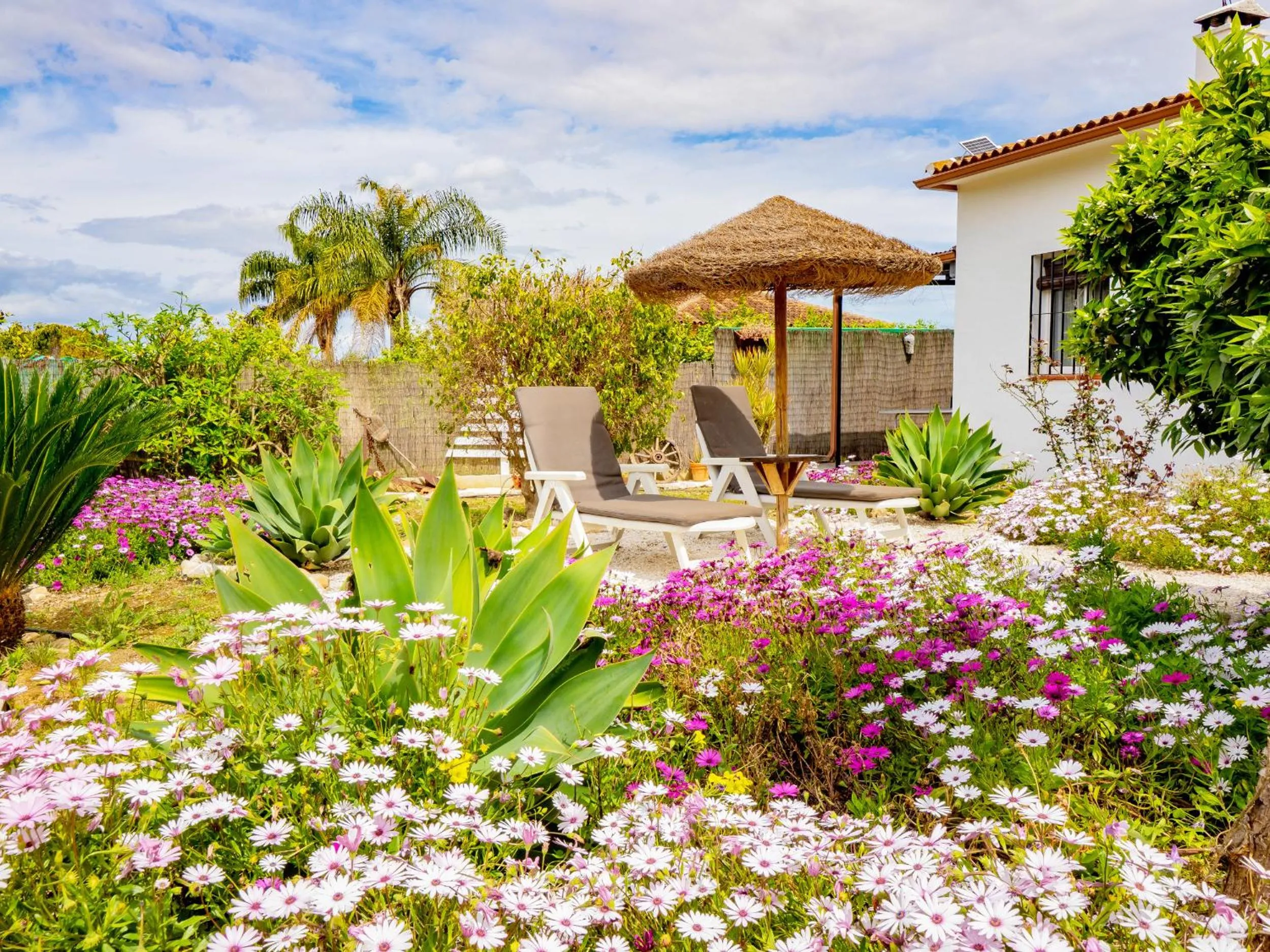 Cubo's Finca Pati