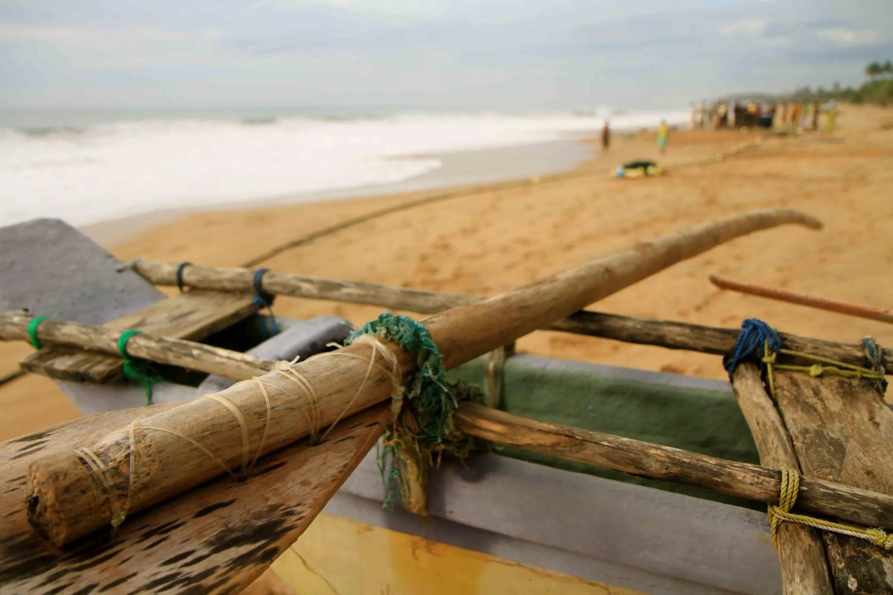 Day in Turtle Bay Boutique Hotel