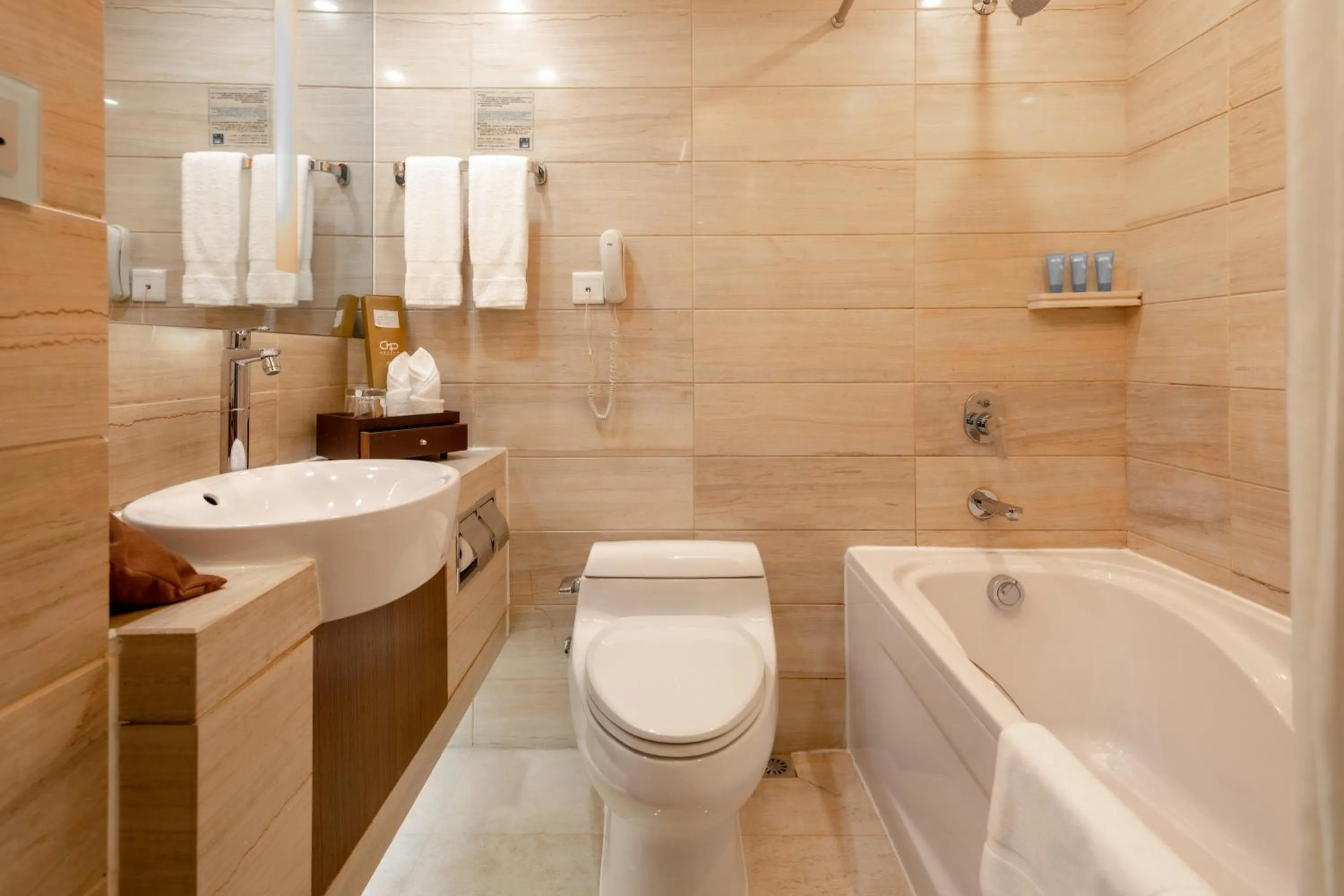 Toilet in China Mayors Plaza