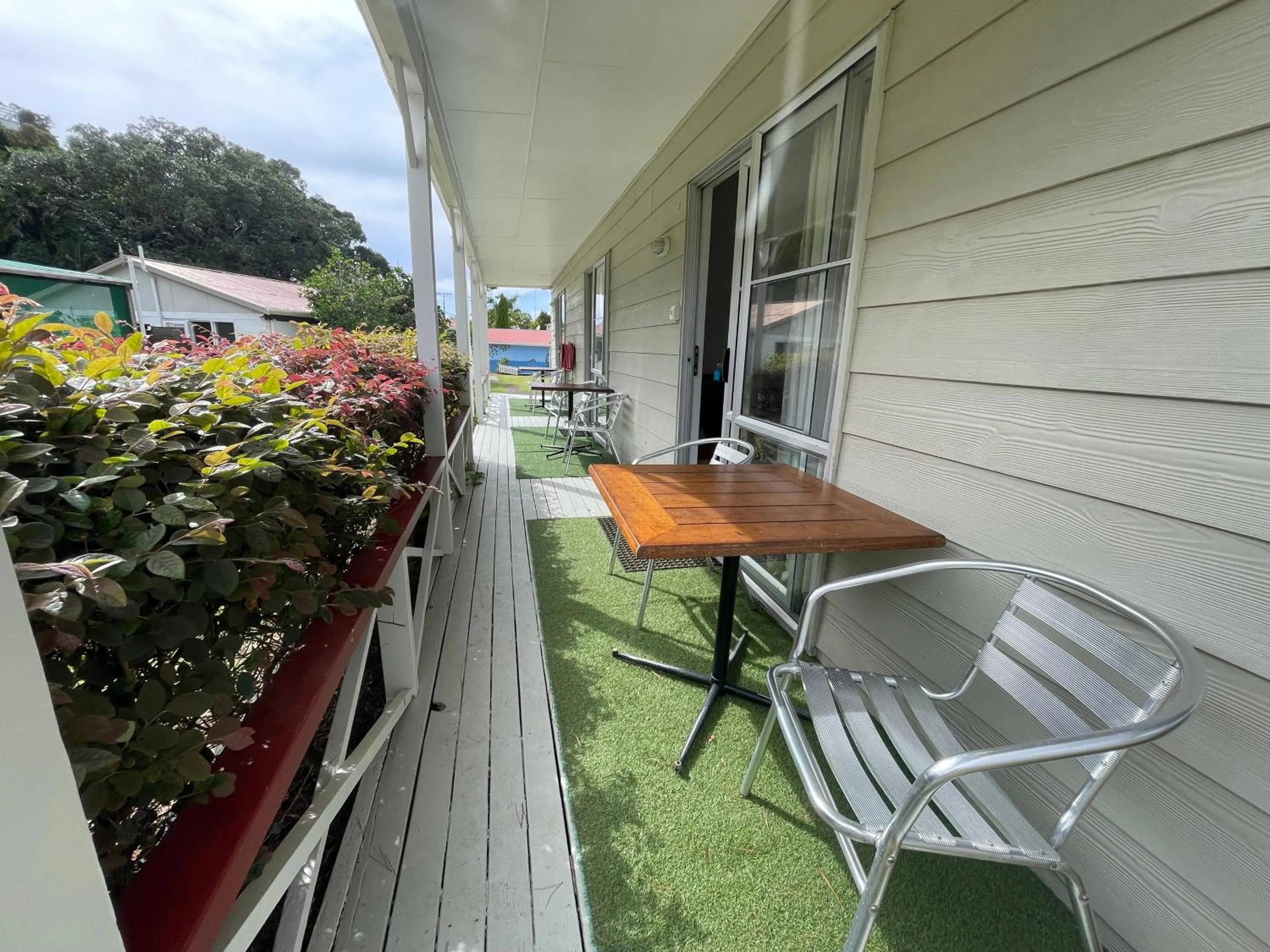 Whitianga Campground