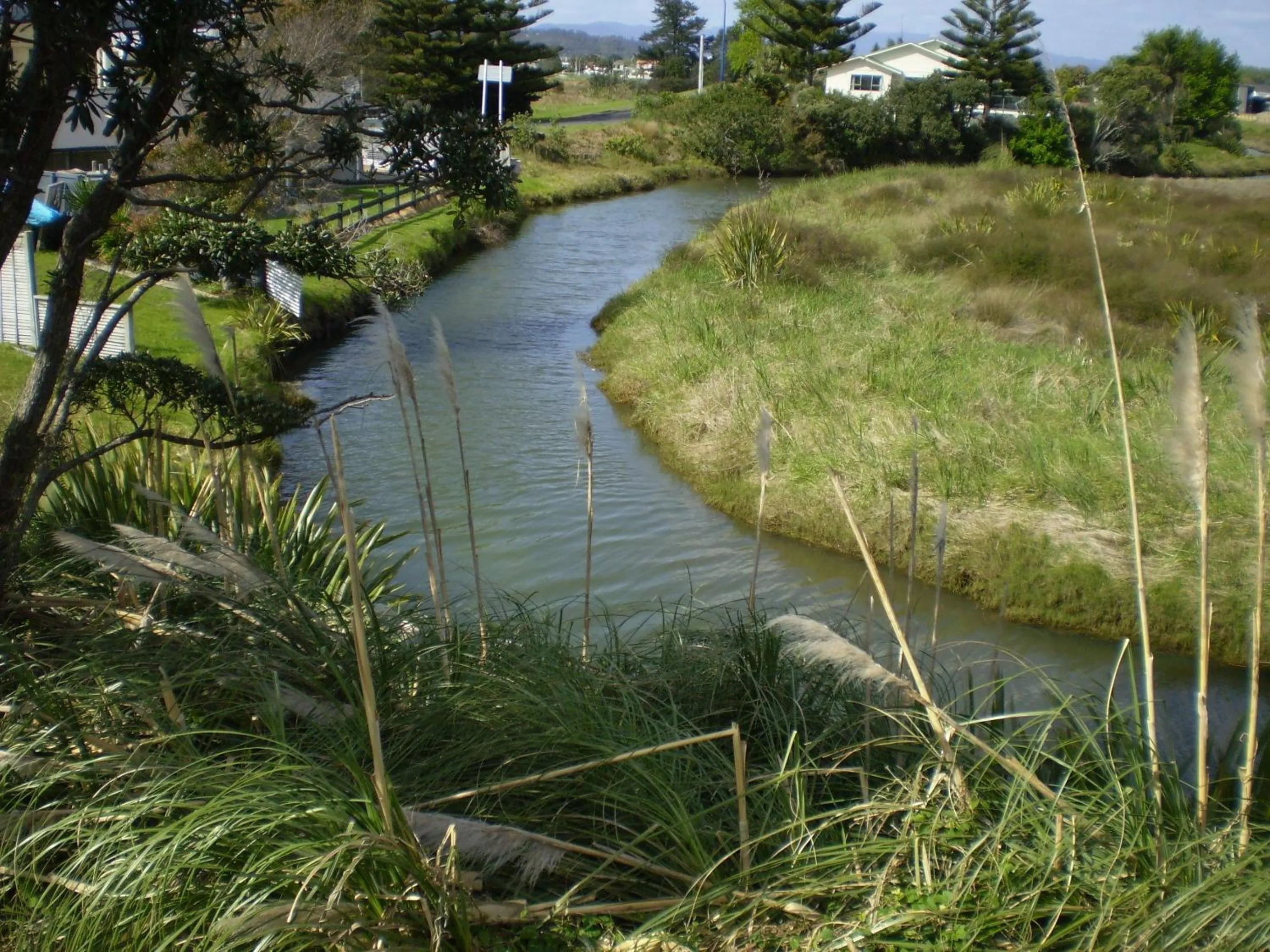 Area and facilities in Whitianga Campground