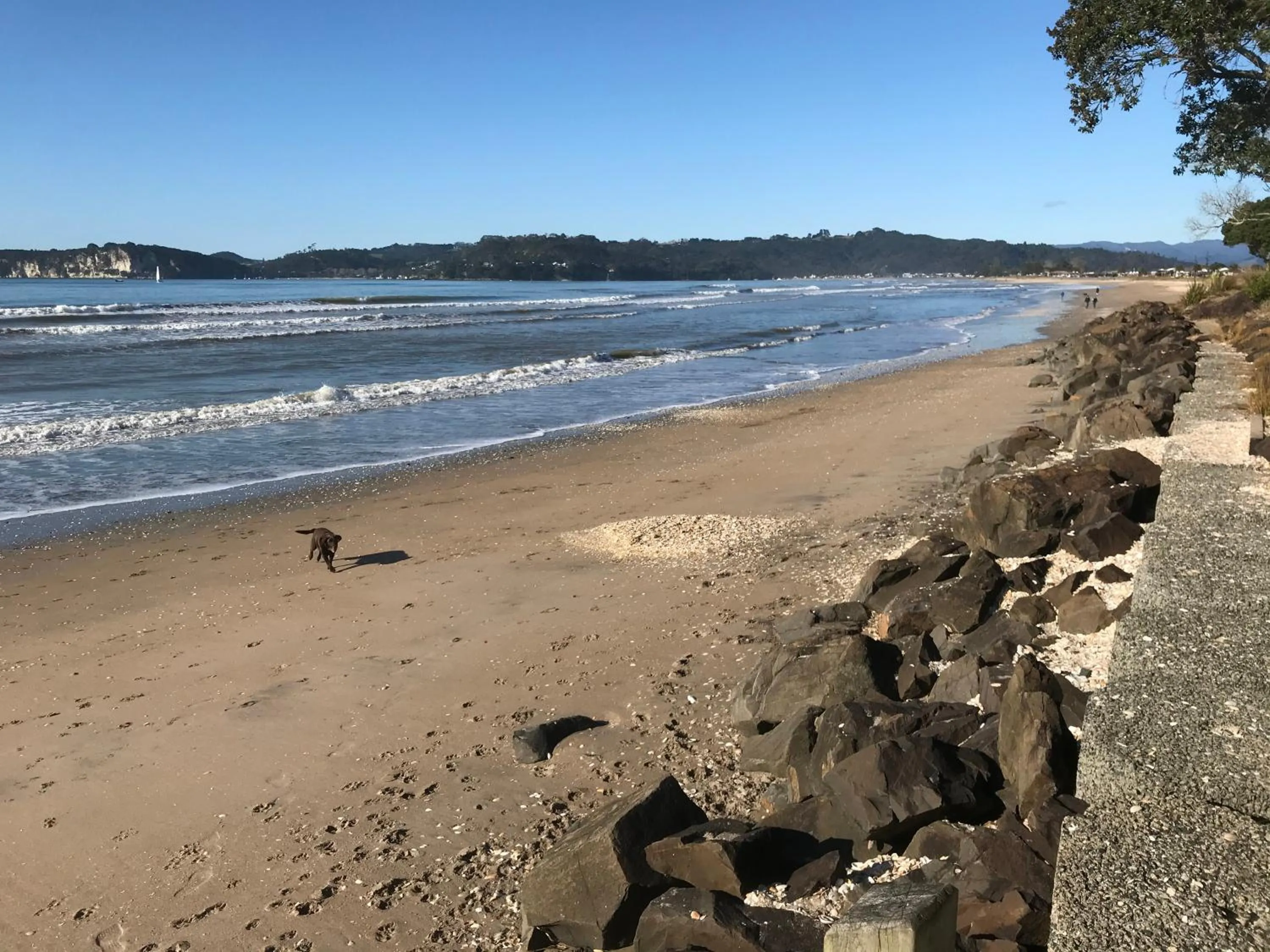 Whitianga Campground