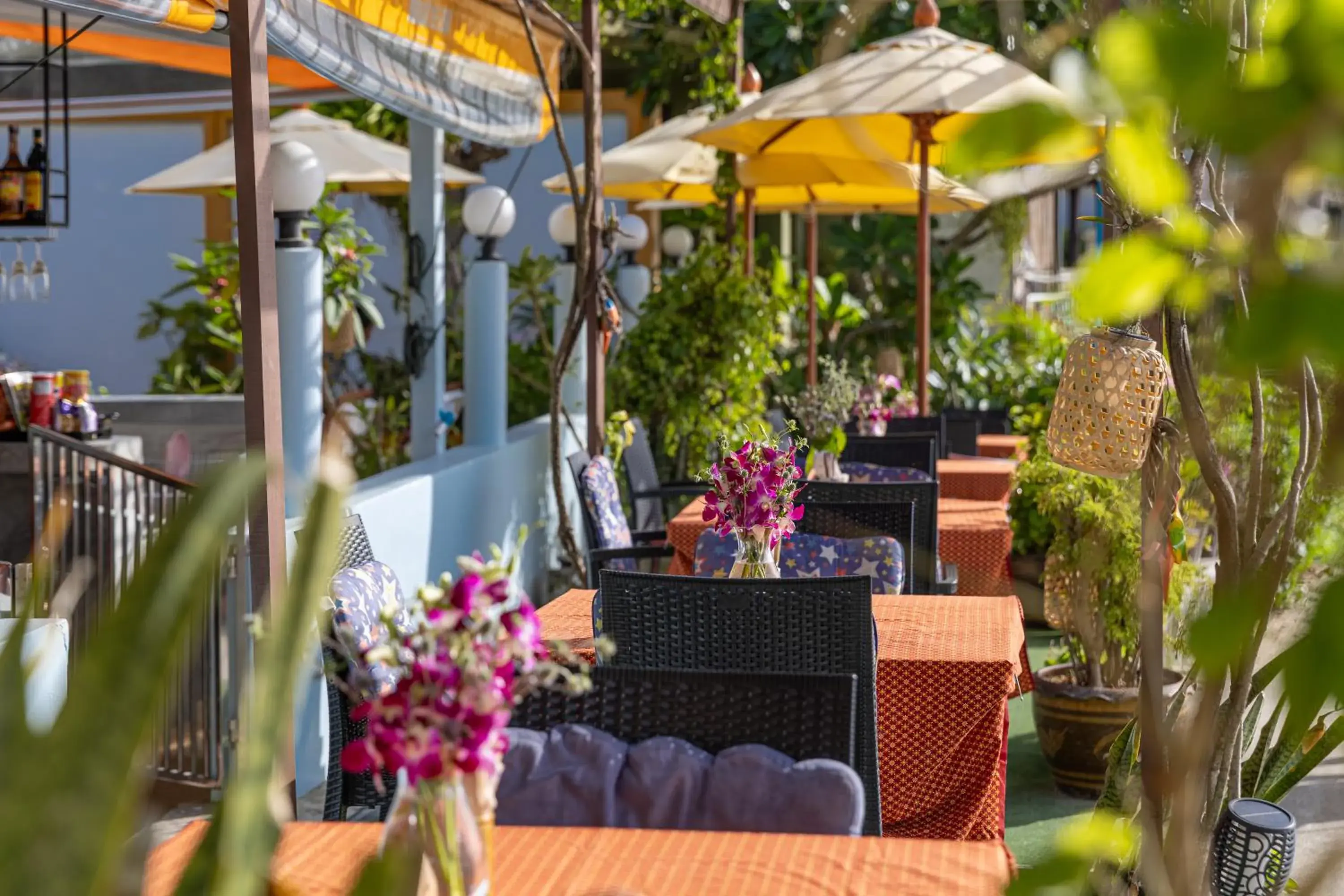 Restaurant/places to eat in Kamala Dreams Restaurant/places to eat in Kamala Dreams