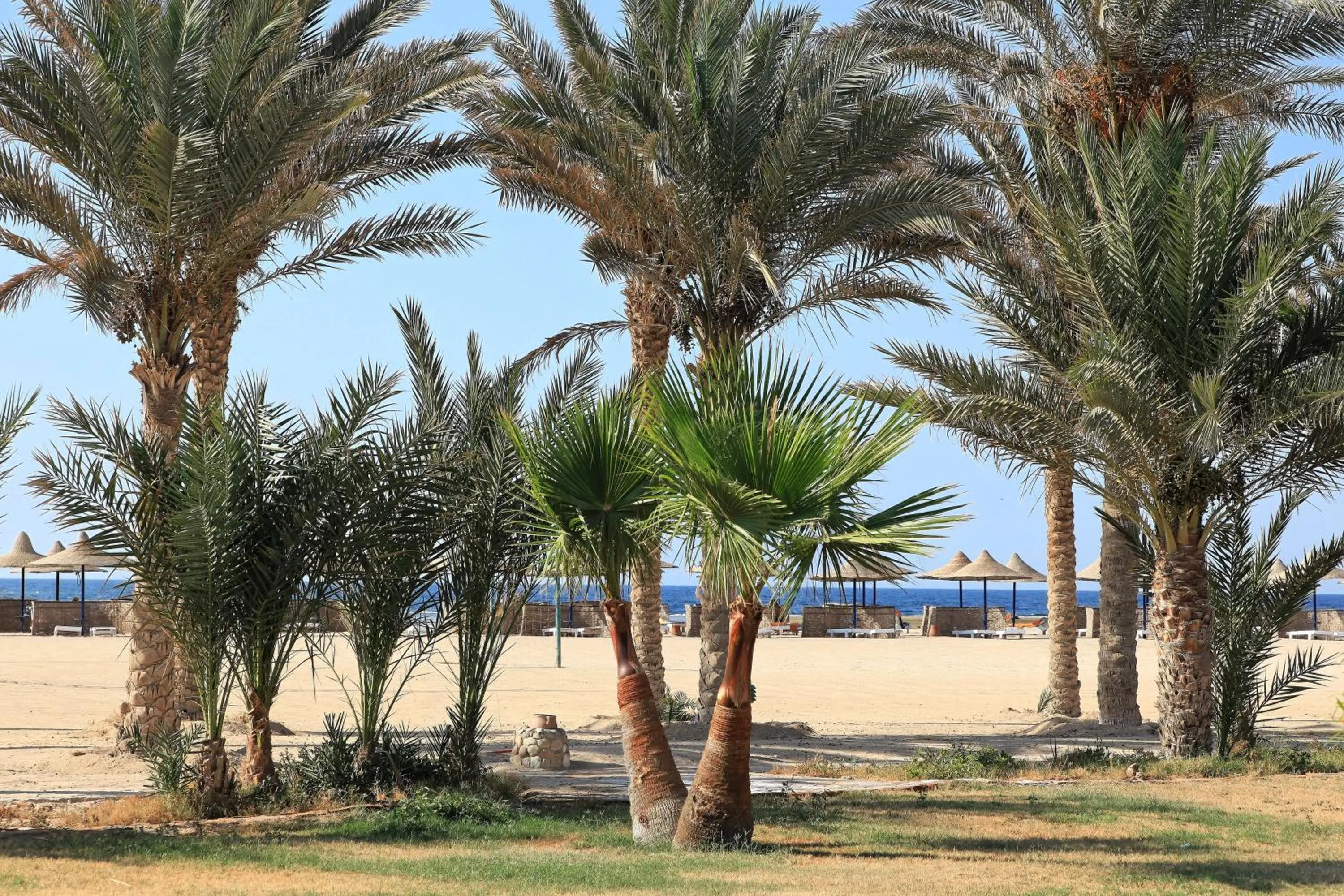 Natural landscape in Pensee Royal Garden Beach Resort