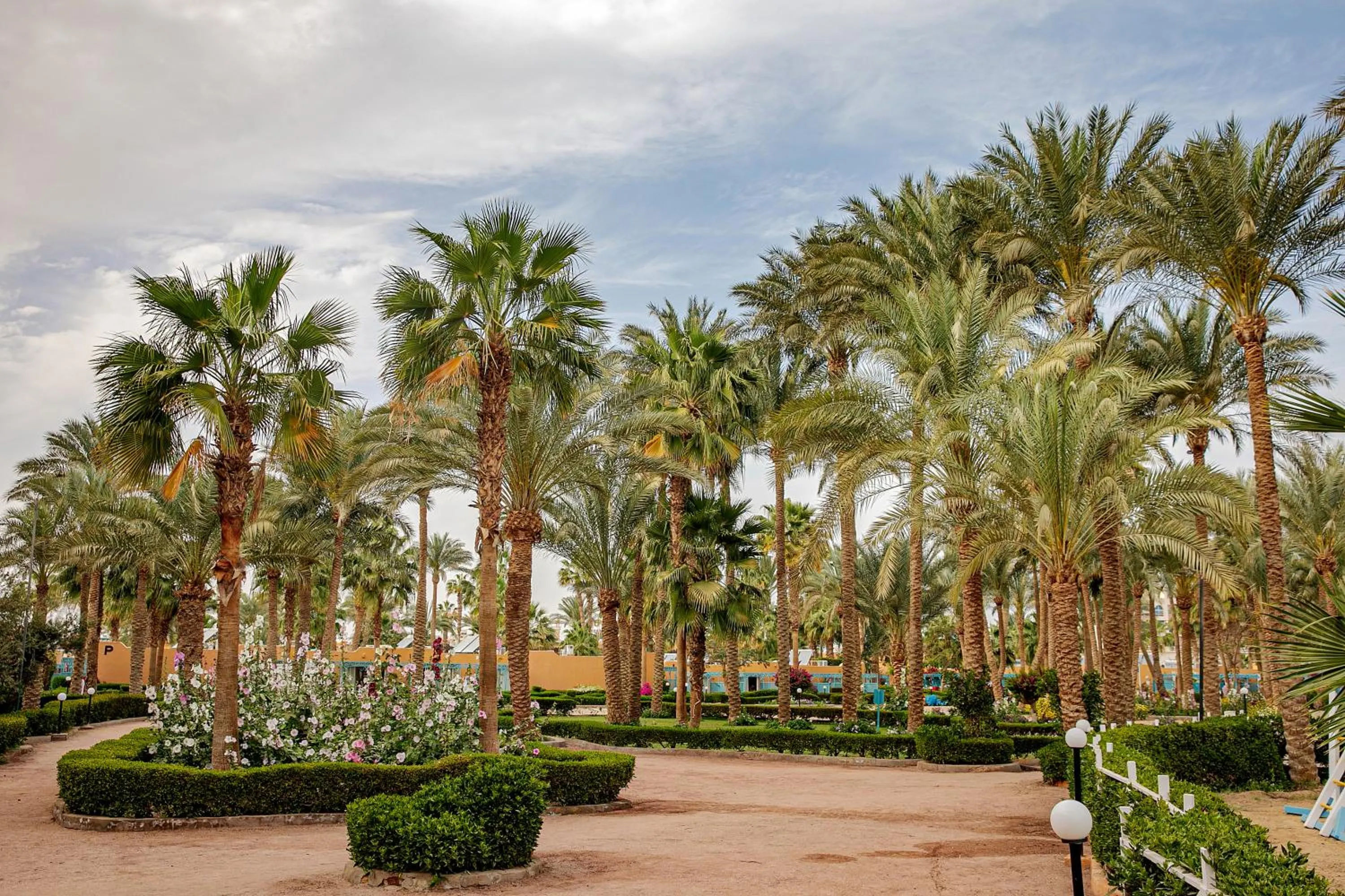 Garden in Giftun Azur Resort