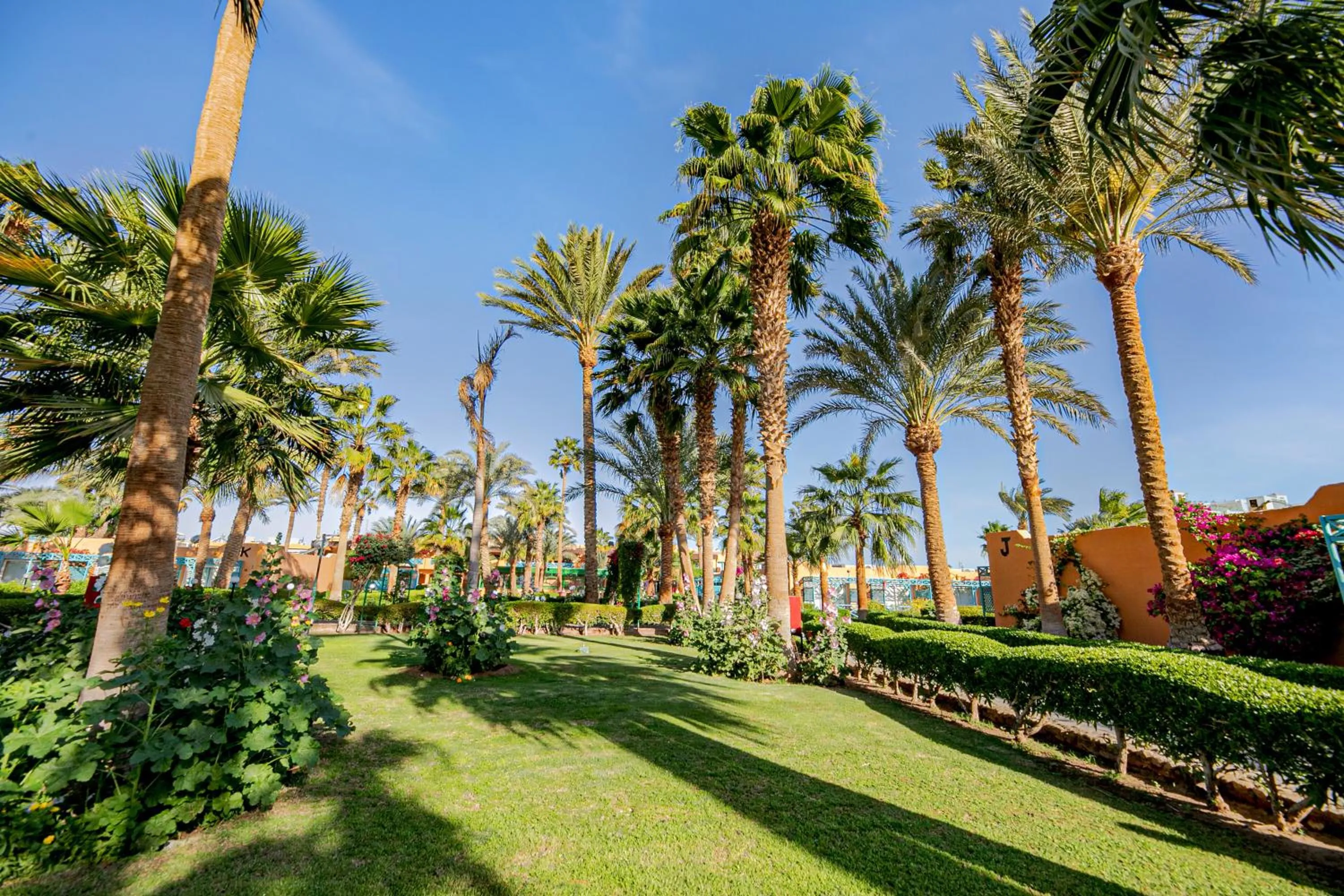 Garden view in Giftun Azur Resort