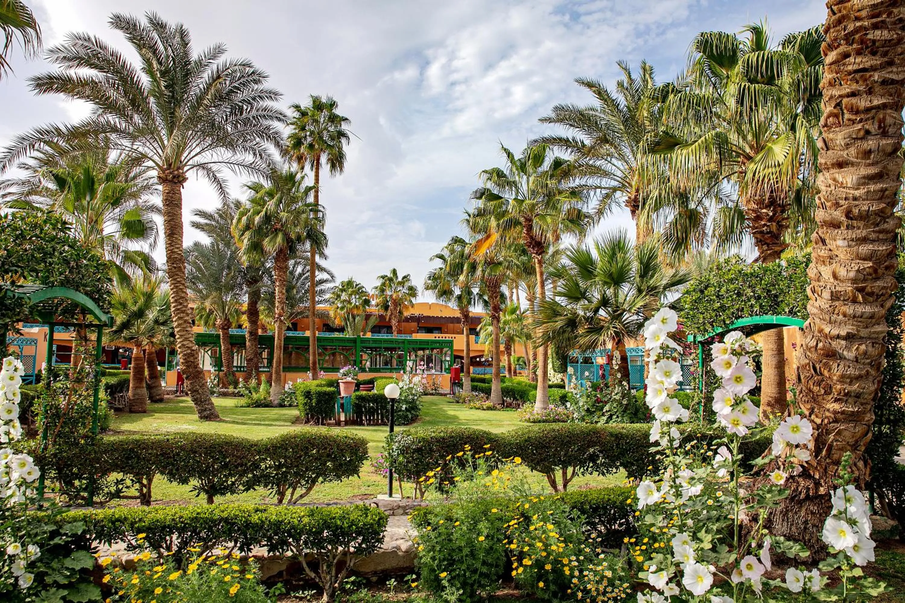 Garden view in Giftun Azur Resort