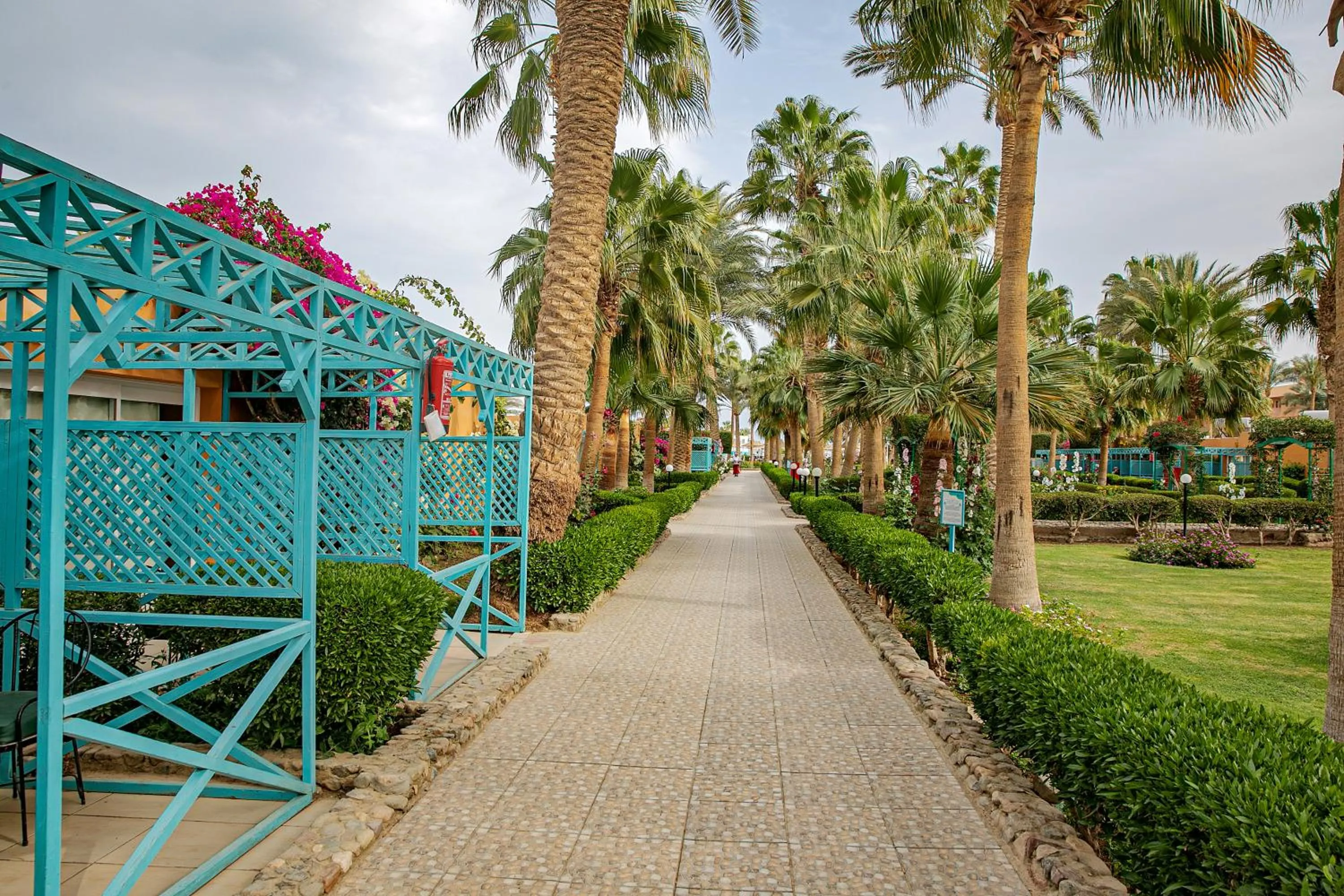 Garden view in Giftun Azur Resort