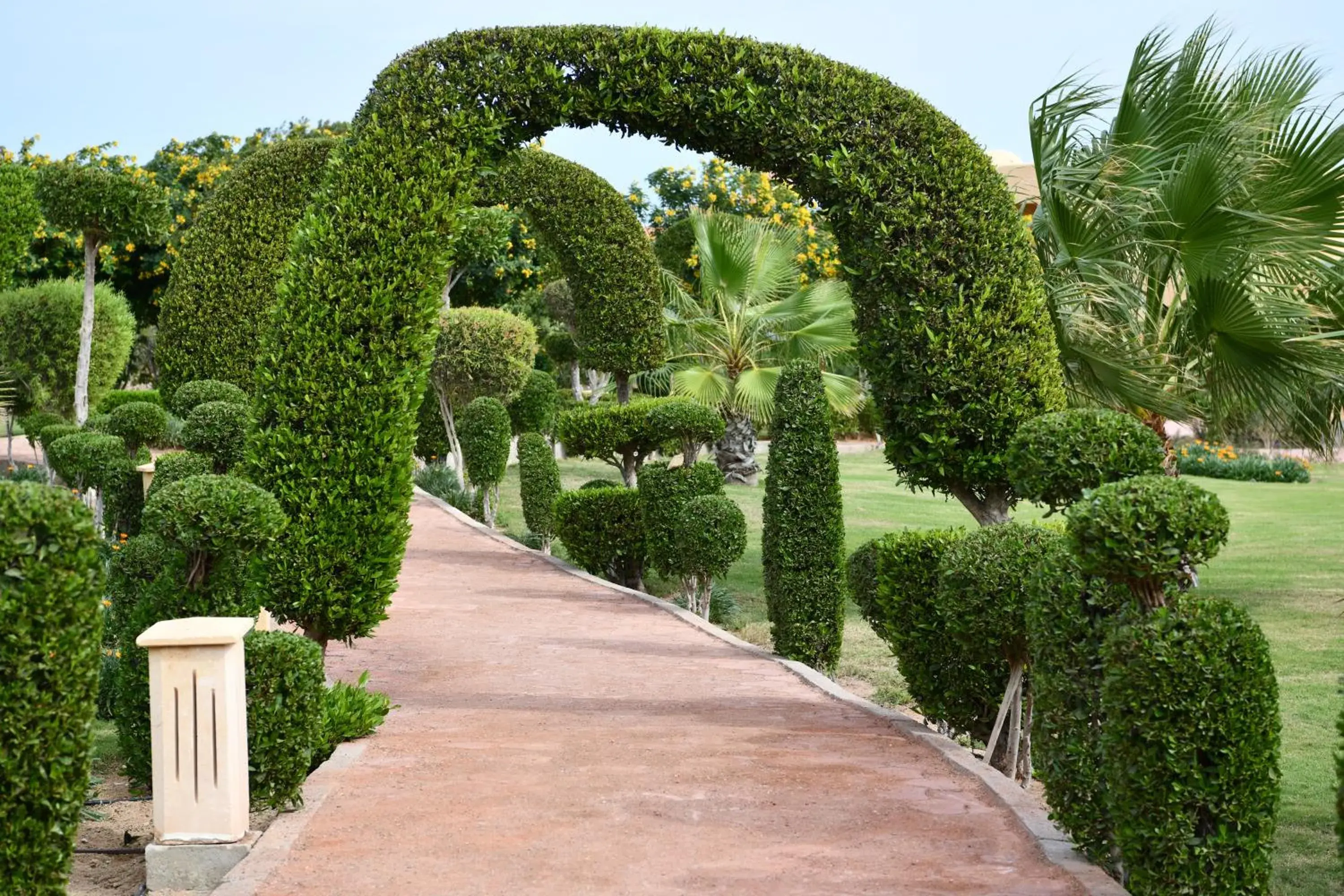 Garden view in Wadi Lahmy Azur Resort - Soft All-Inclusive Garden view in Wadi Lahmy Azur Resort - Soft All-Inclusive