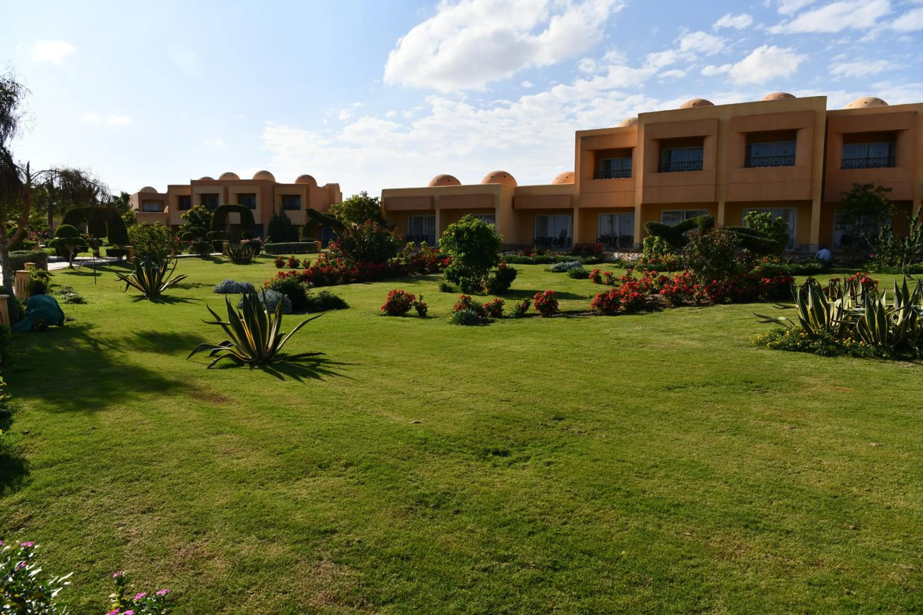 Garden in Wadi Lahmy Azur Resort - Soft All-Inclusive
