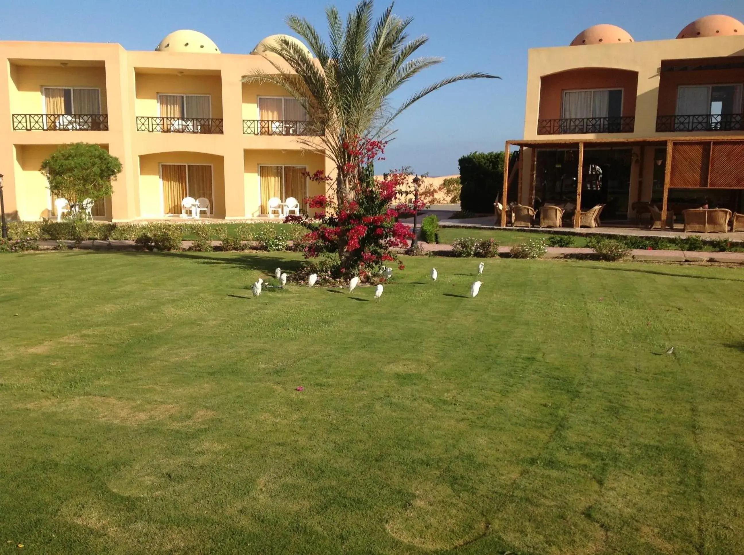 Property building in Wadi Lahmy Azur Resort - Soft All-Inclusive Property building in Wadi Lahmy Azur Resort - Soft All-Inclusive