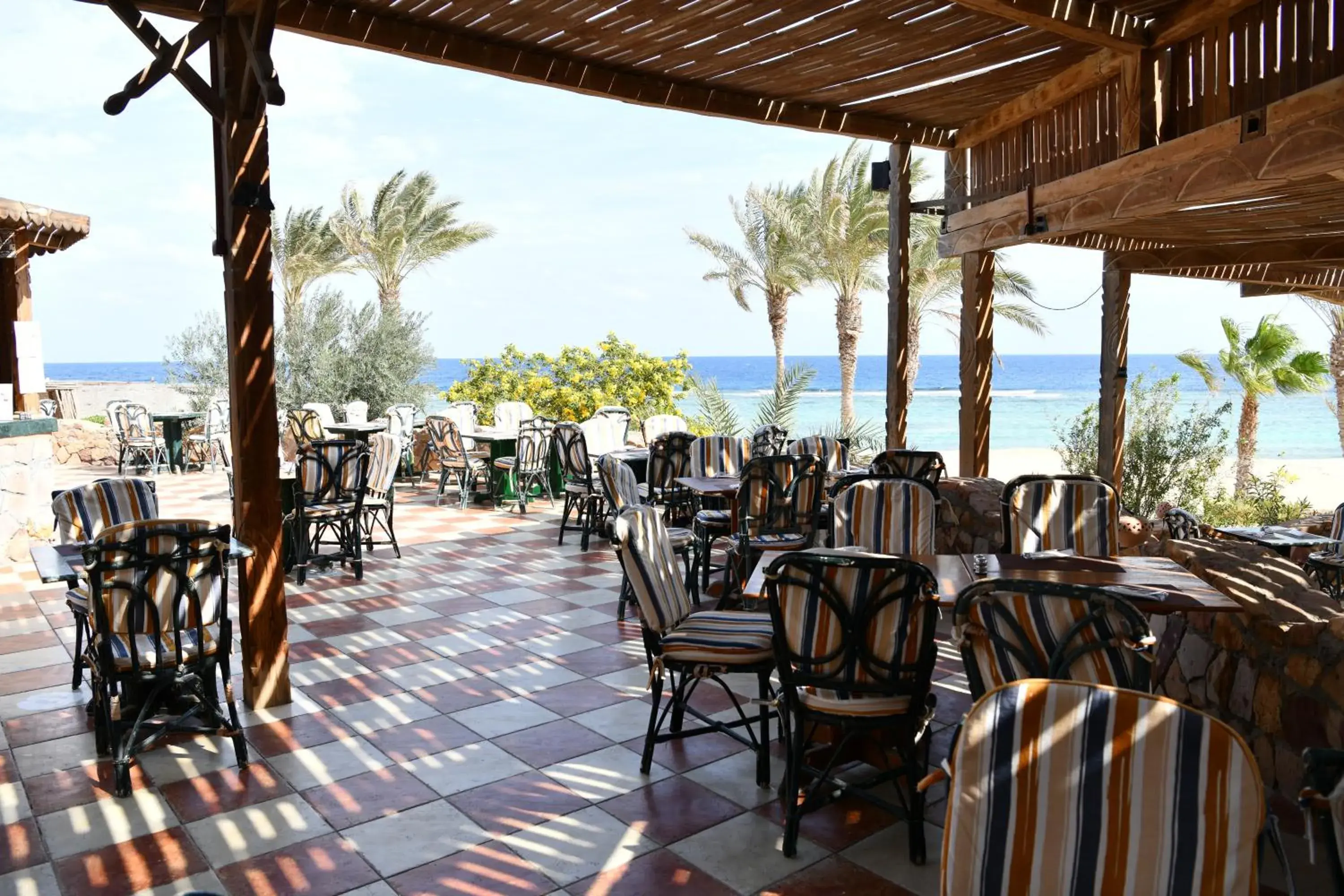 Restaurant/places to eat in Wadi Lahmy Azur Resort - Soft All-Inclusive Restaurant/places to eat in Wadi Lahmy Azur Resort - Soft All-Inclusive