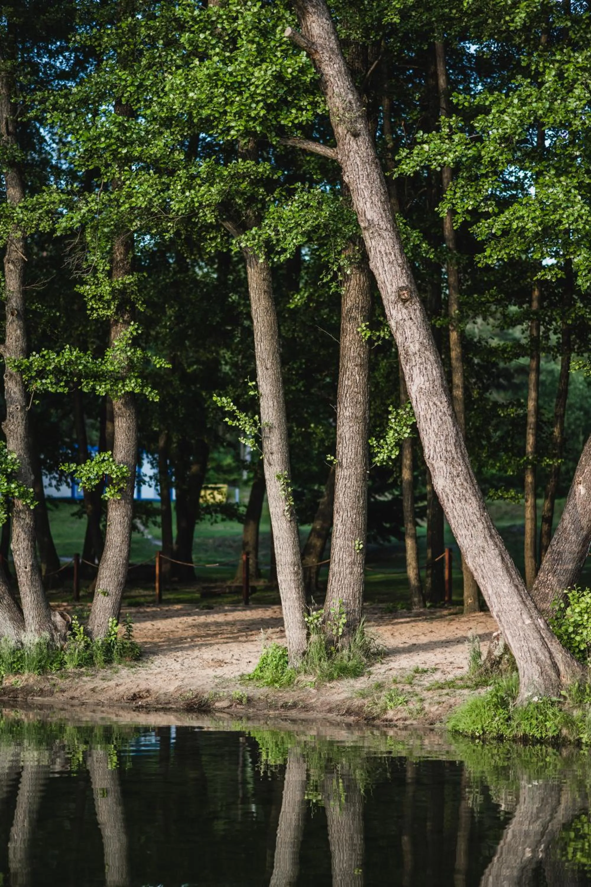 Natural landscape in Zacisze,pl Domki Premium i Bungalowy Deluxe nad Jeziorem Łagowskim